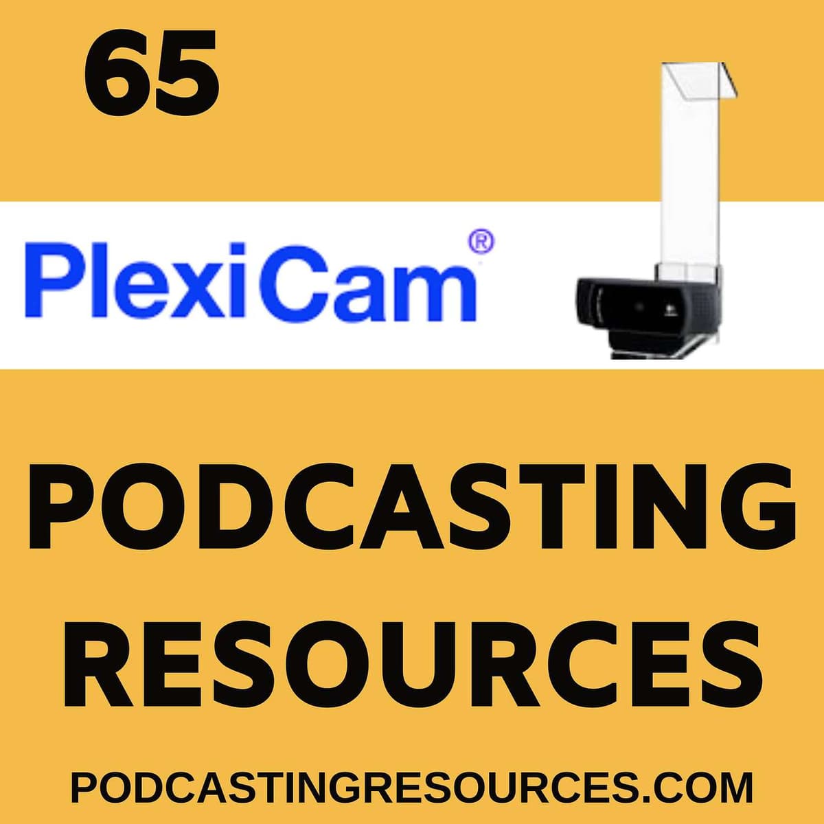 Cost-Effective Teleprompter and Eye Contact Options for Podcast Interviews and Video Creators with Plexicam - Podcasting Resources cover
