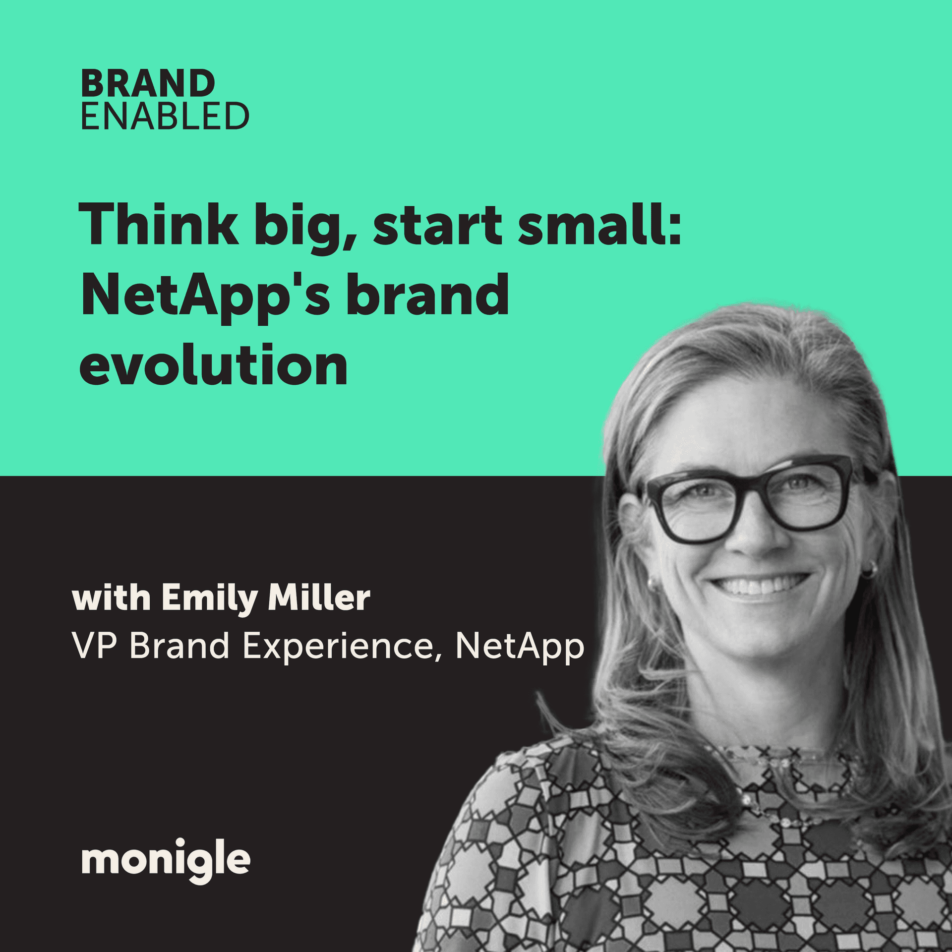 Think big, start small: NetApp's brand evolution - Brand Enabled: The Human Stories Behind Branding cover