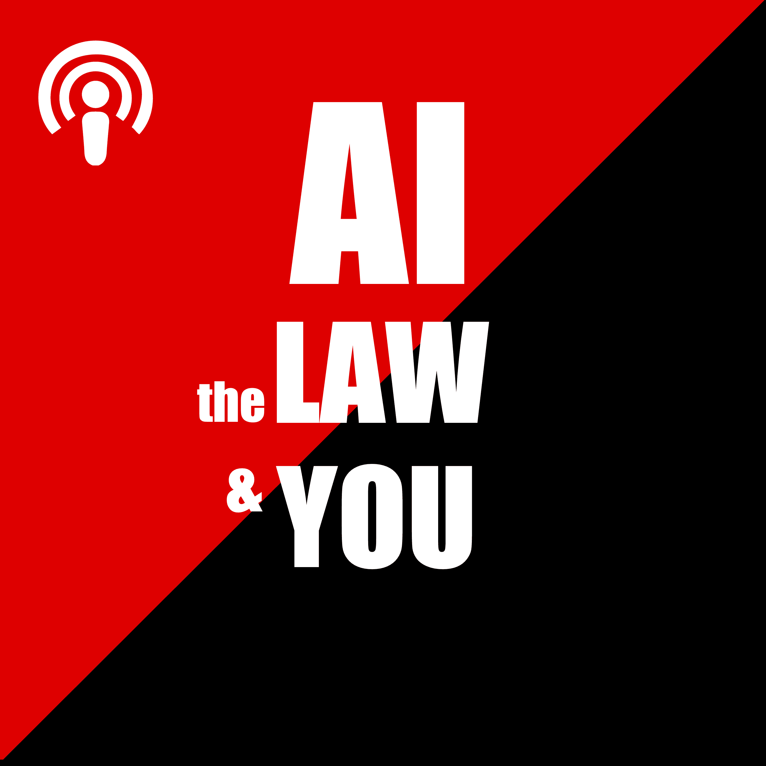 AI the Law & You cover