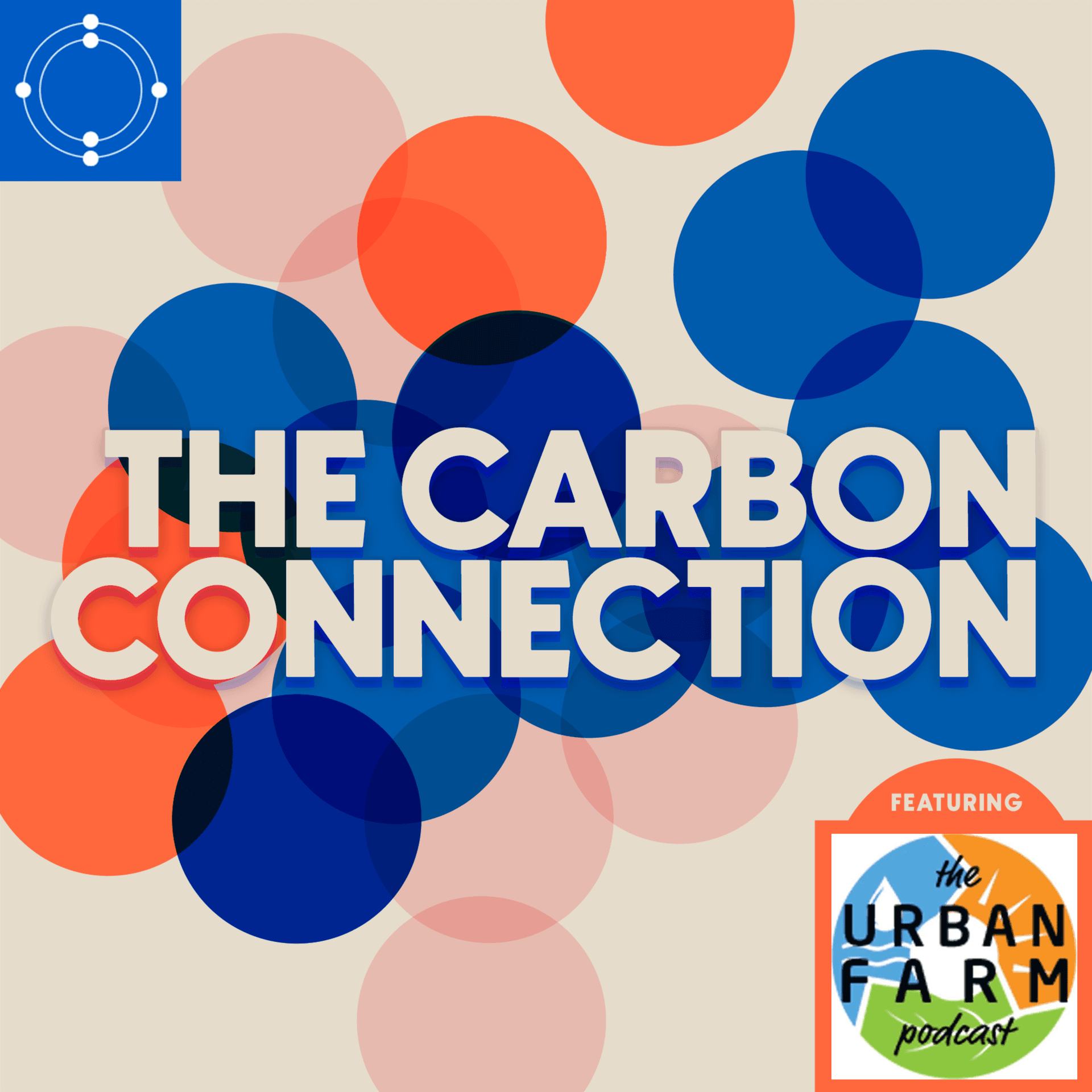 Urban Farm Podcast - Christine Lance on Planning, Building and Maintaining a Community Garden — The Carbon Connection cover