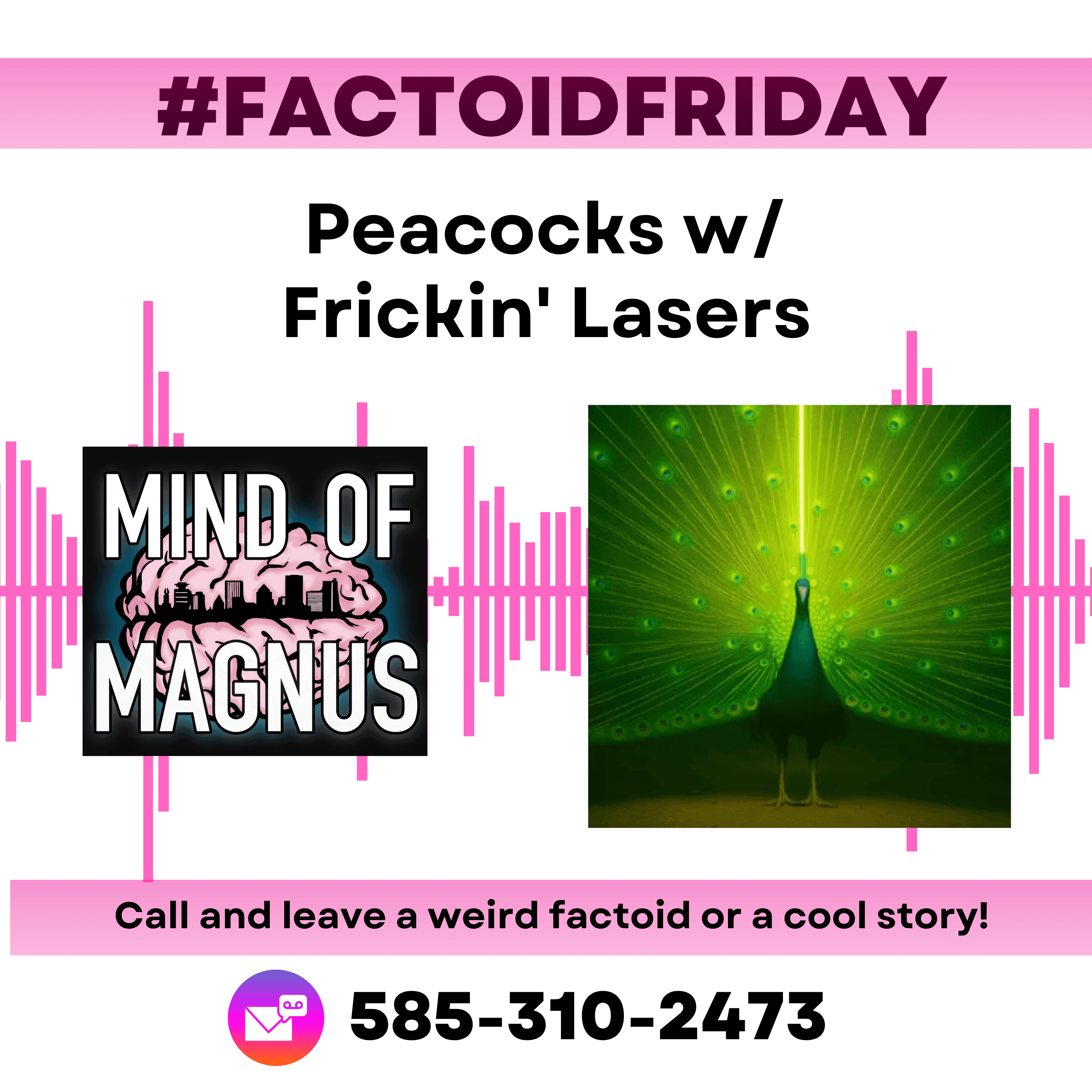 FactoidFriday: Peacocks with Frickin Lasers! - Mind Of Magnus cover