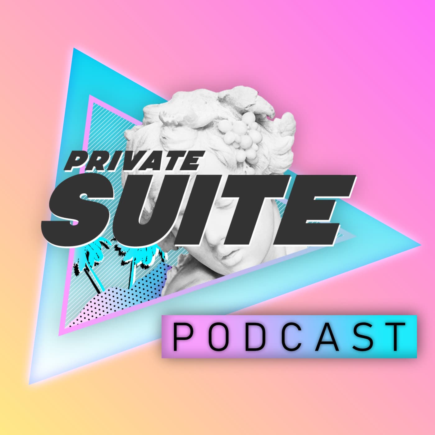 Don't Forget to Backup your Flash Drives and Hard Drives - Private Suite Podcast cover