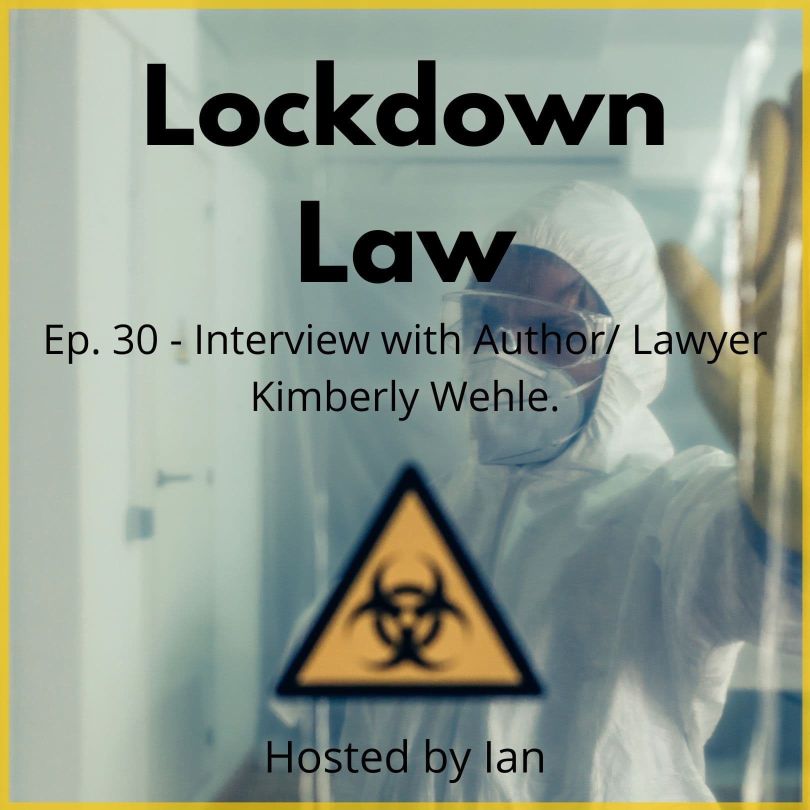 Interview with Author/ Lawyer Kimberly Wehle - Lockdown Law cover