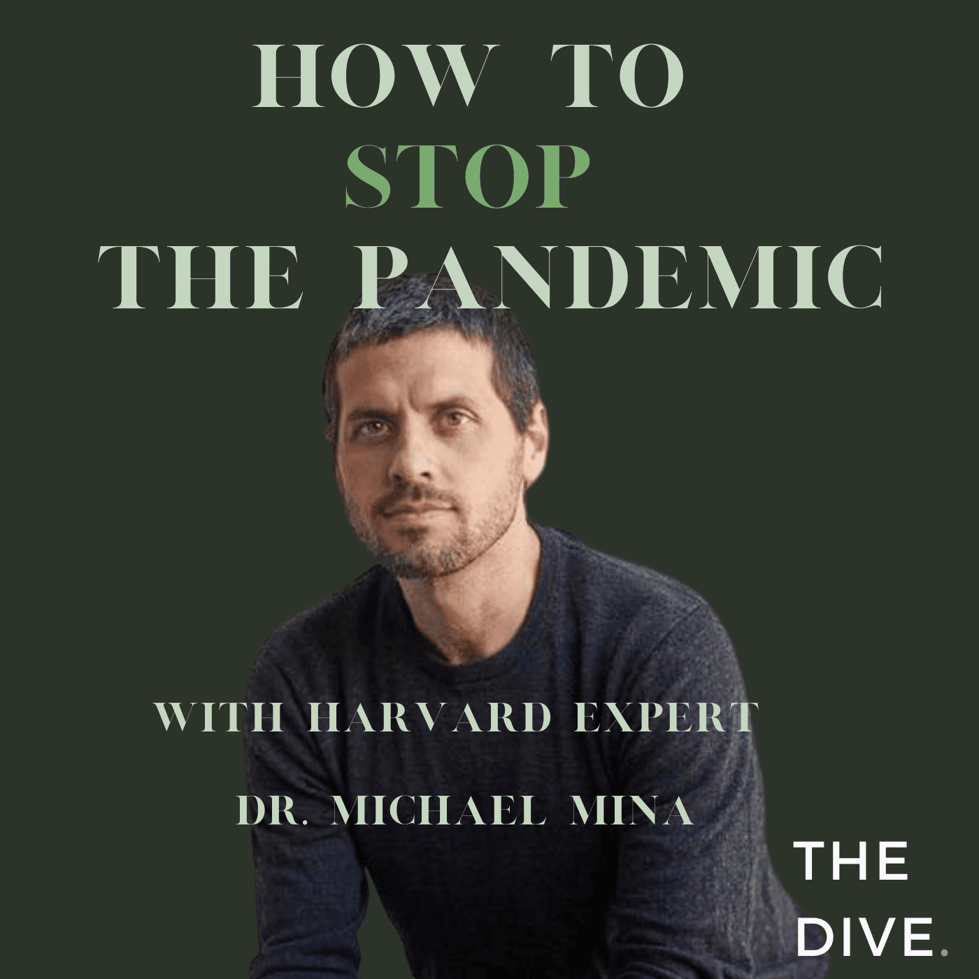 How To Stop The Pandemic - The Dive: Experts from Harvard and Beyond Explain The News cover