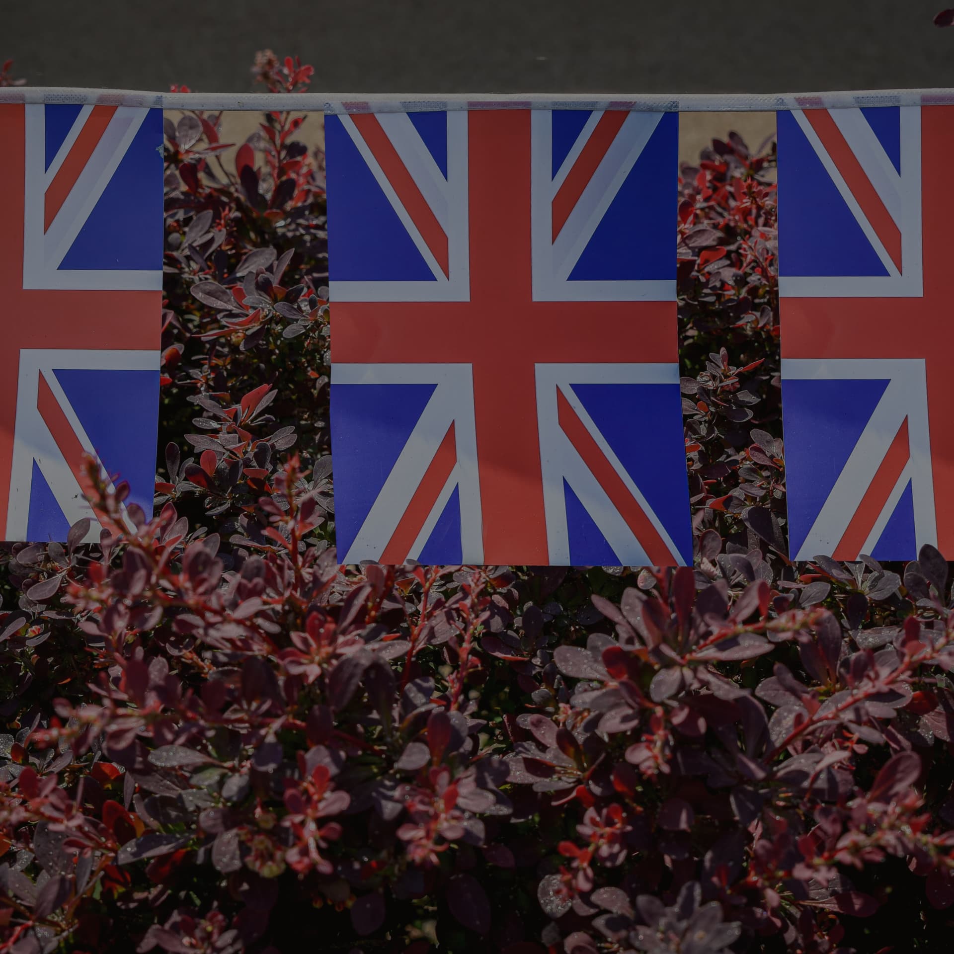 Romanticised History - Humans Exhaust Me cover