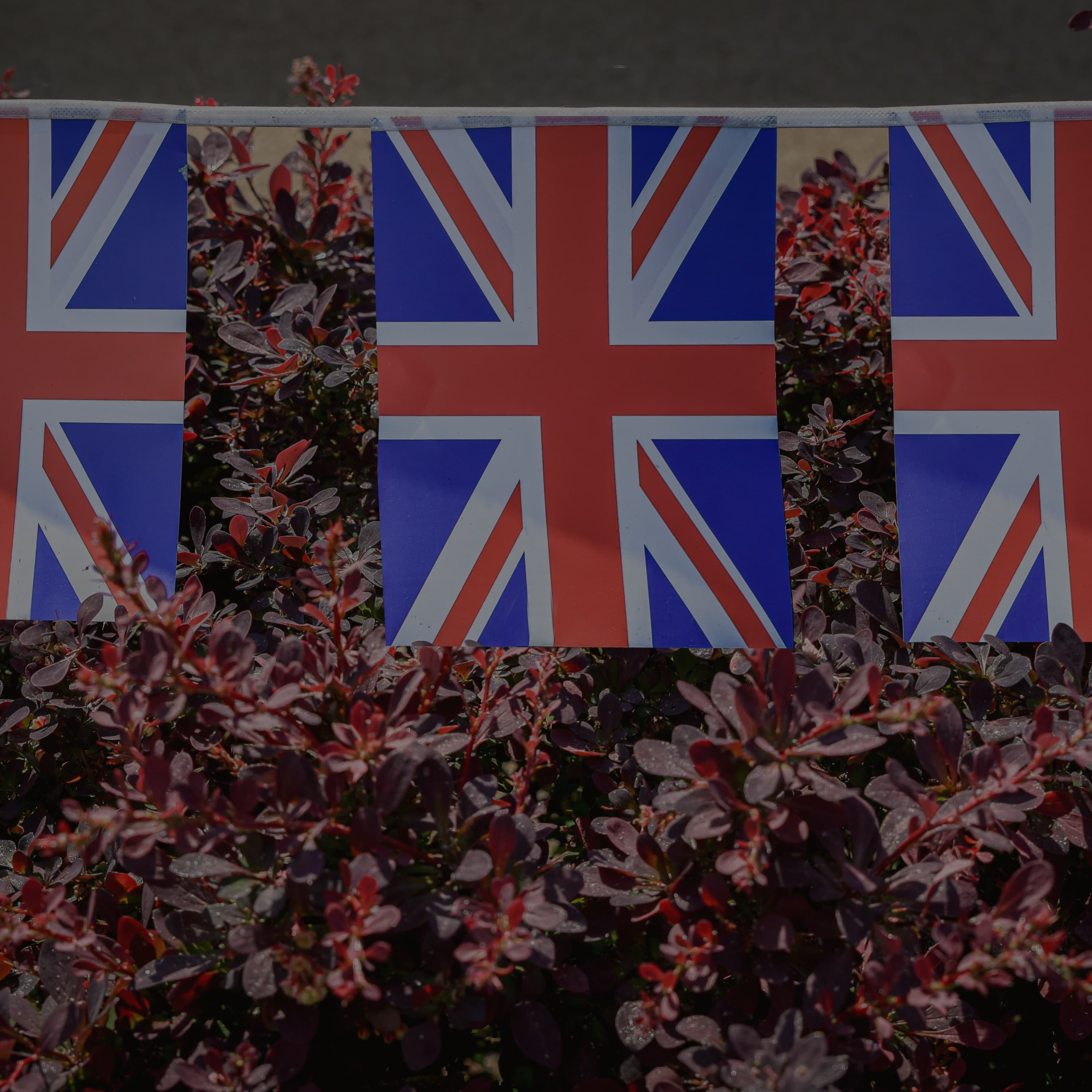 Romanticised History - Humans Exhaust Me cover