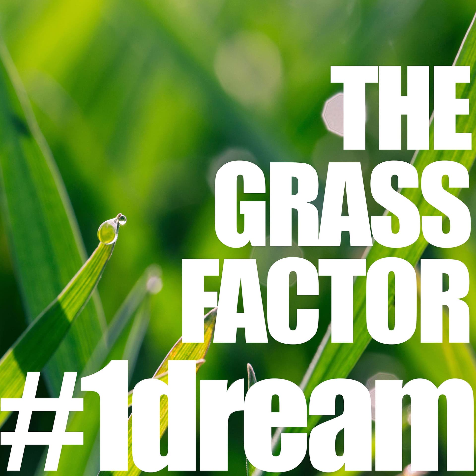 The Grass Factor cover