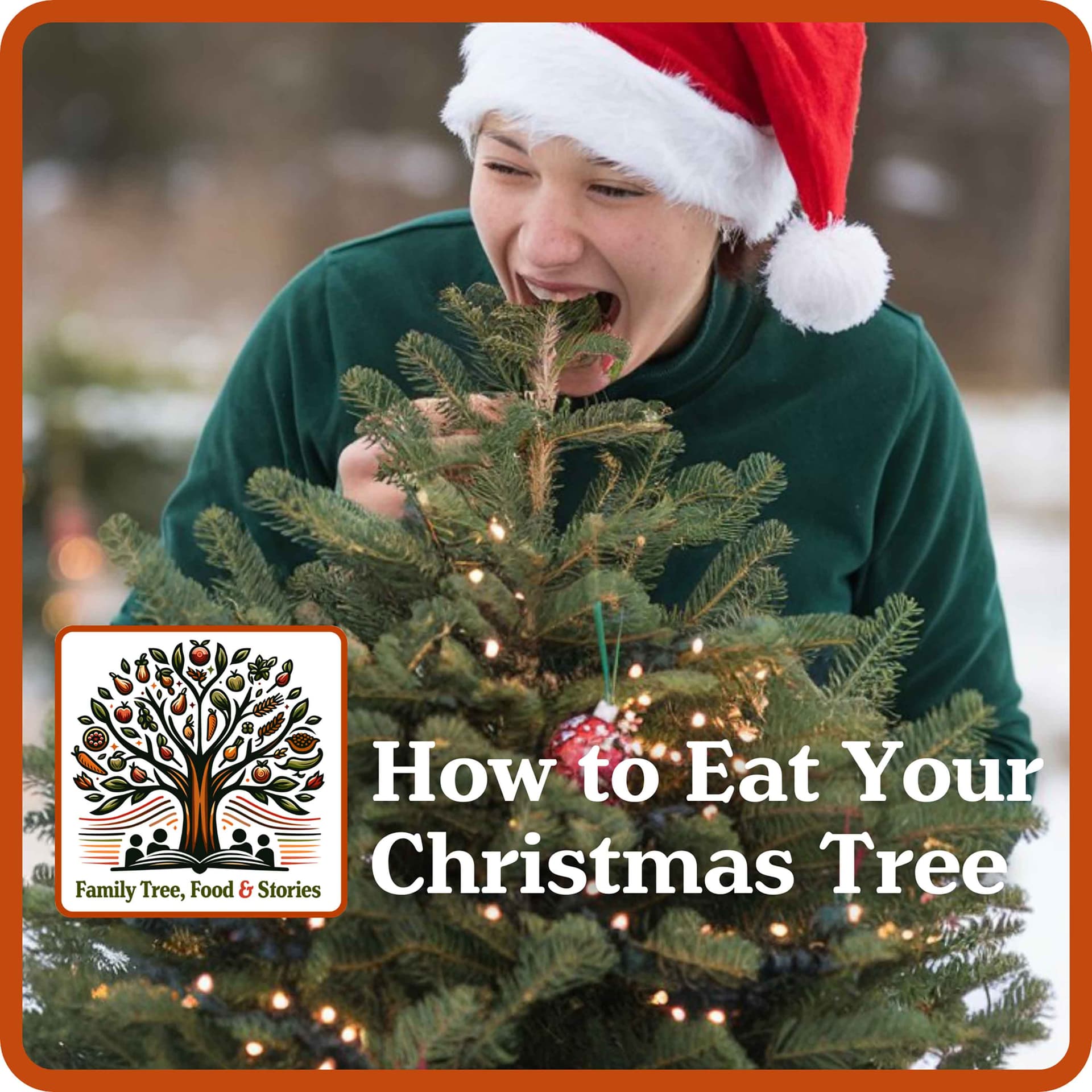 How to Eat Your Leftover Christmas Tree:  For Real! — Family Tree Food Stories cover