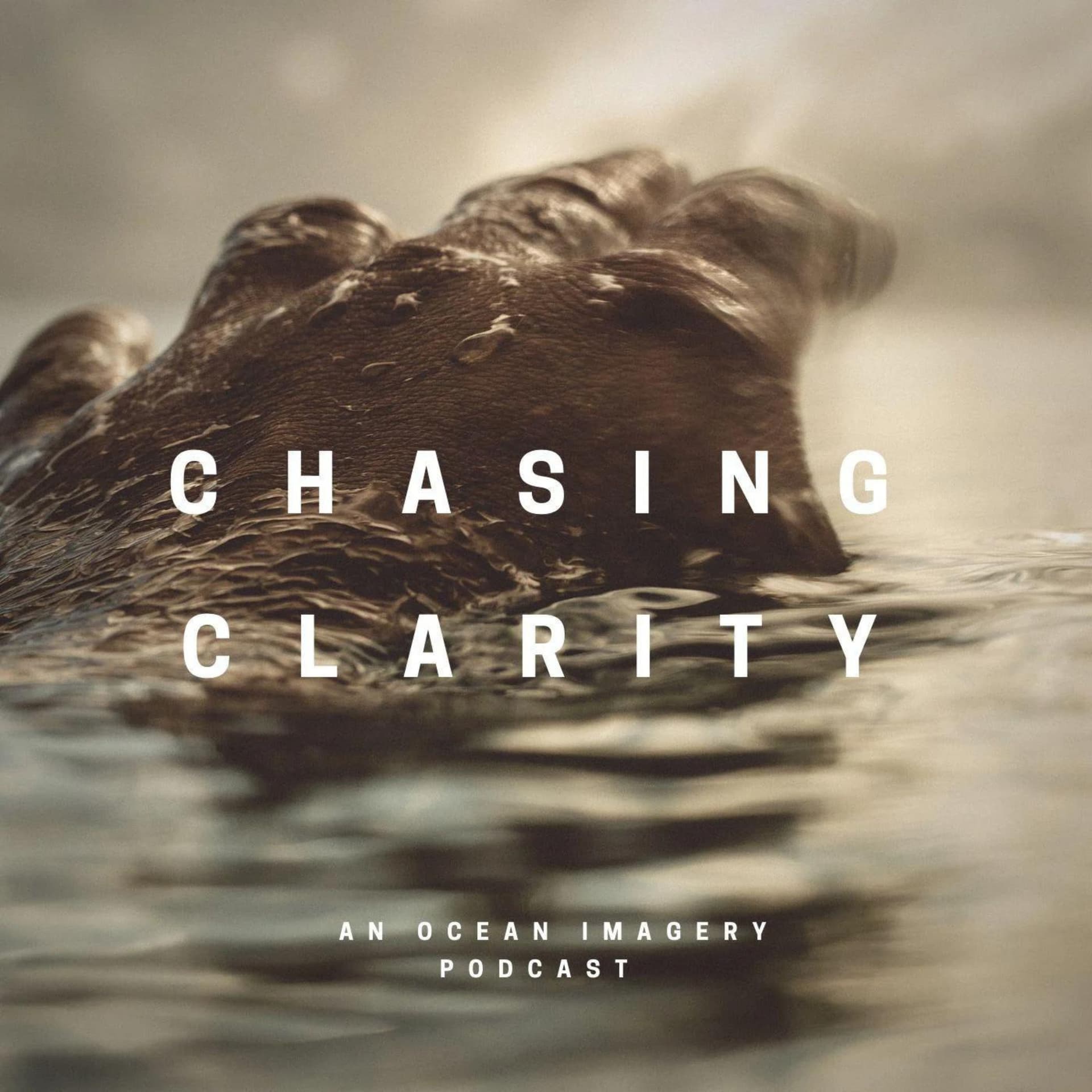 Ep.36 - Hannah Prewitt. - Chasing Clarity cover