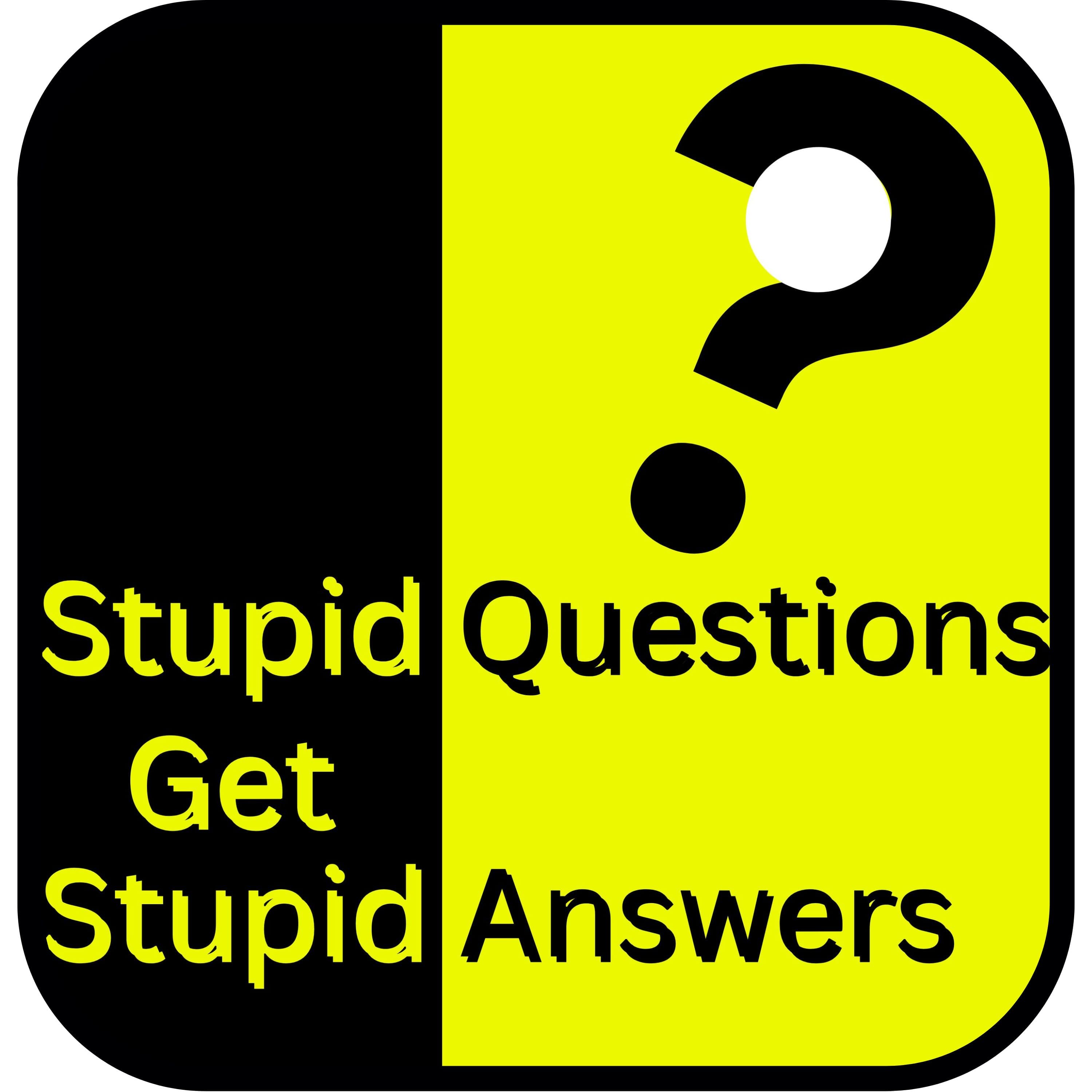 Stupid Questions Get Stupid Answers cover
