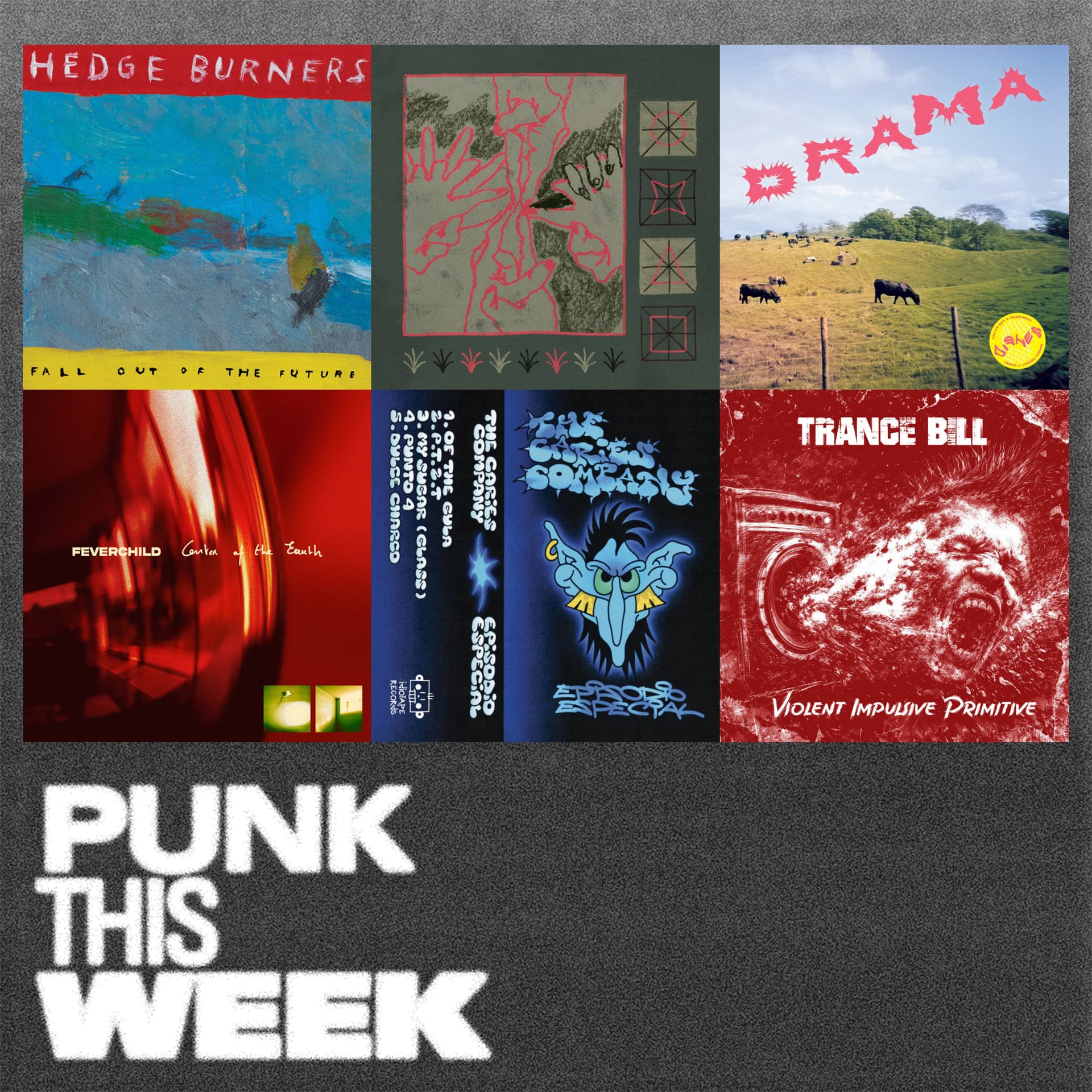 77: Suitor + Hedge Burners - Punk This Week cover