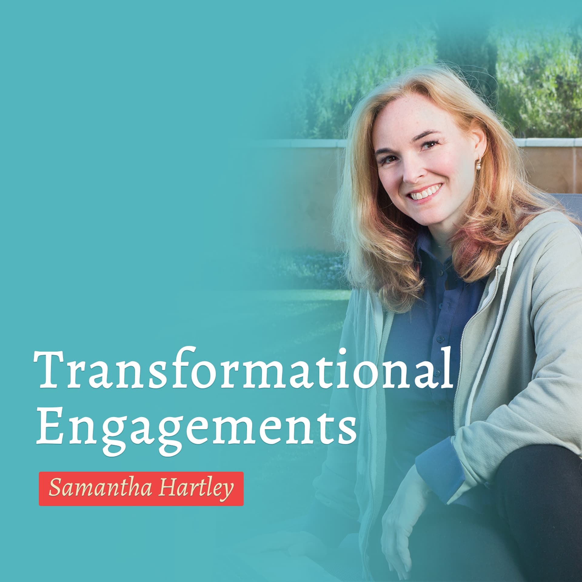 What Makes a Transformational Engagement? - Profitable Joyful Consulting cover