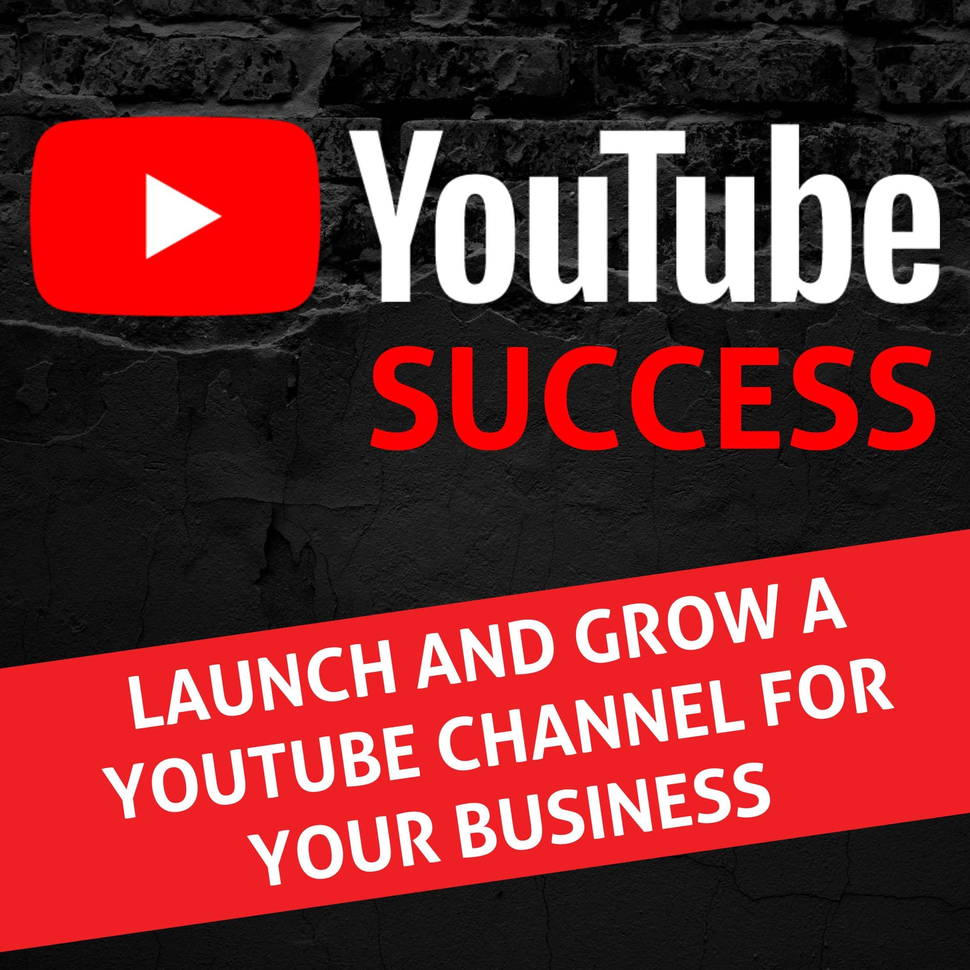 YouTube Success - YouTube for Business & YouTube Growth, Video Marketing cover