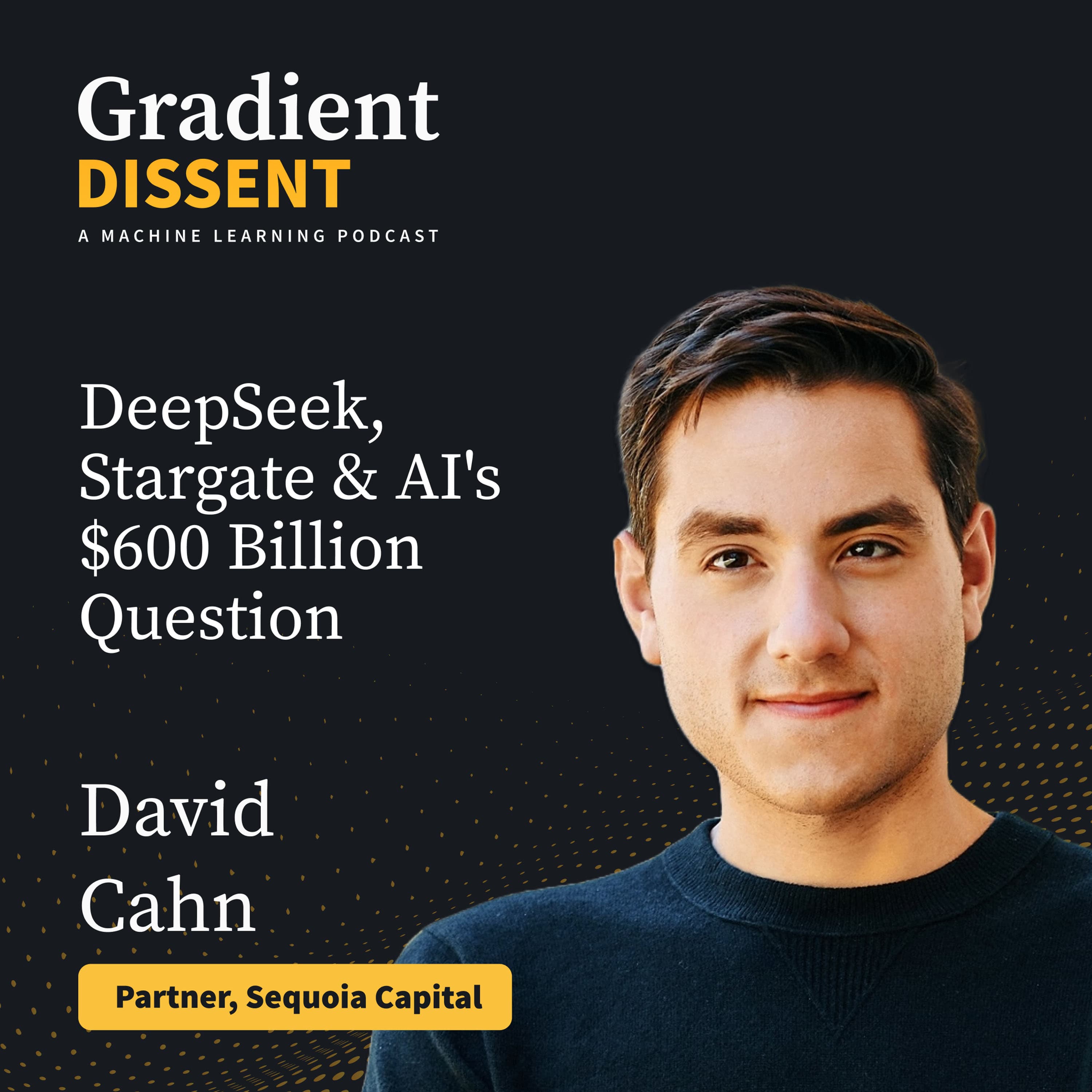DeepSeek, Stargate and AI's $600 Billion Question with Sequoia's David Cahn - Gradient Dissent: Conversations on AI cover