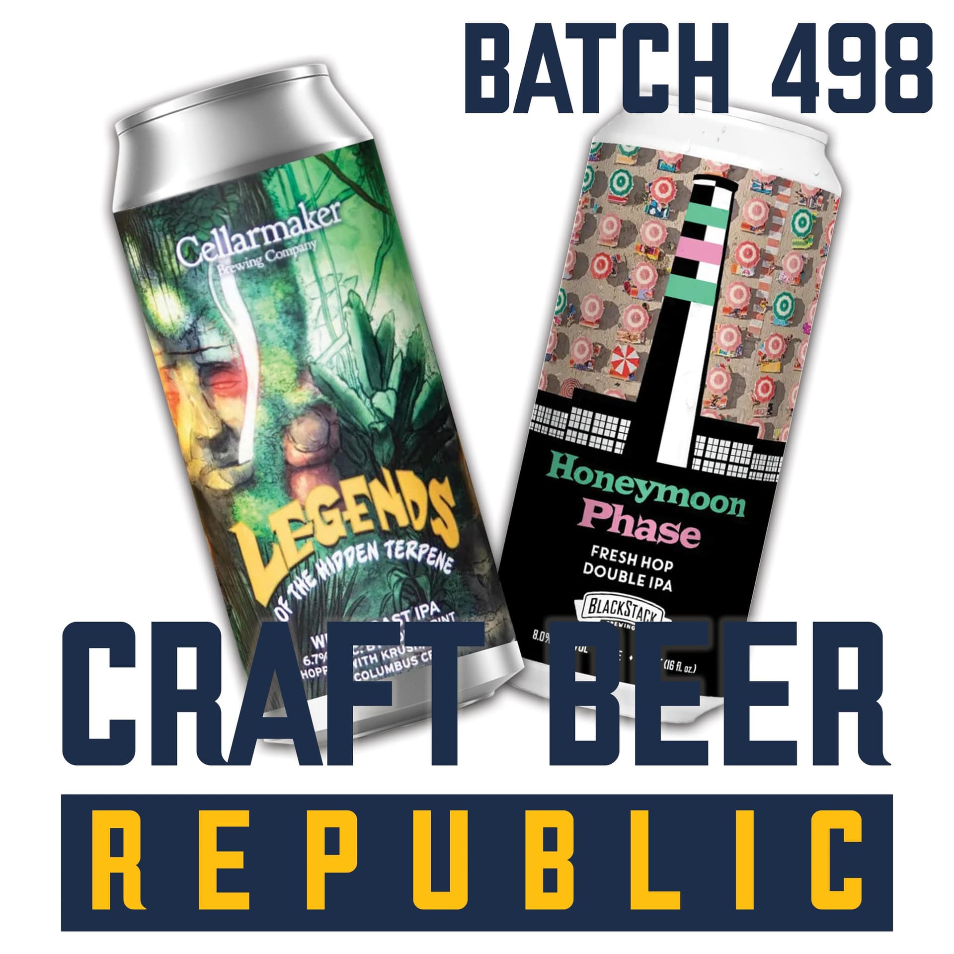 Barely Fermented and Fully Engulfed - Craft Beer Republic cover