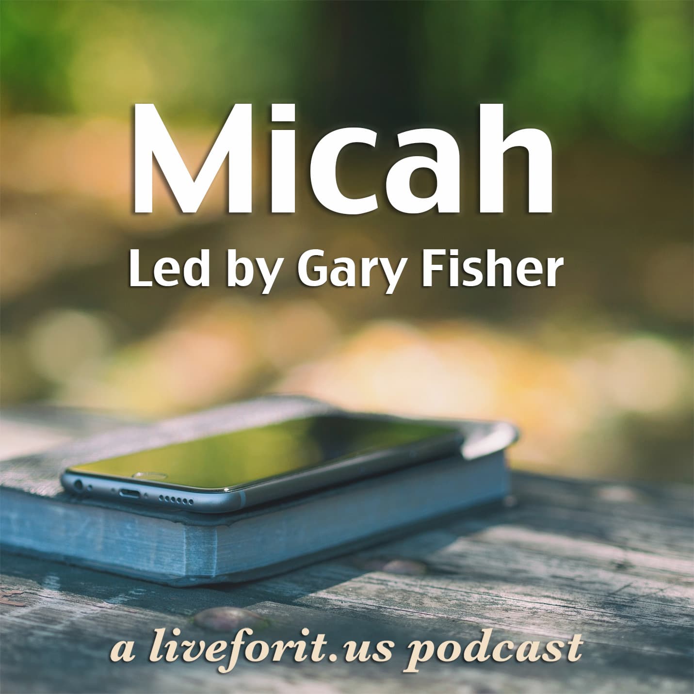 Liveforit Micah Study cover