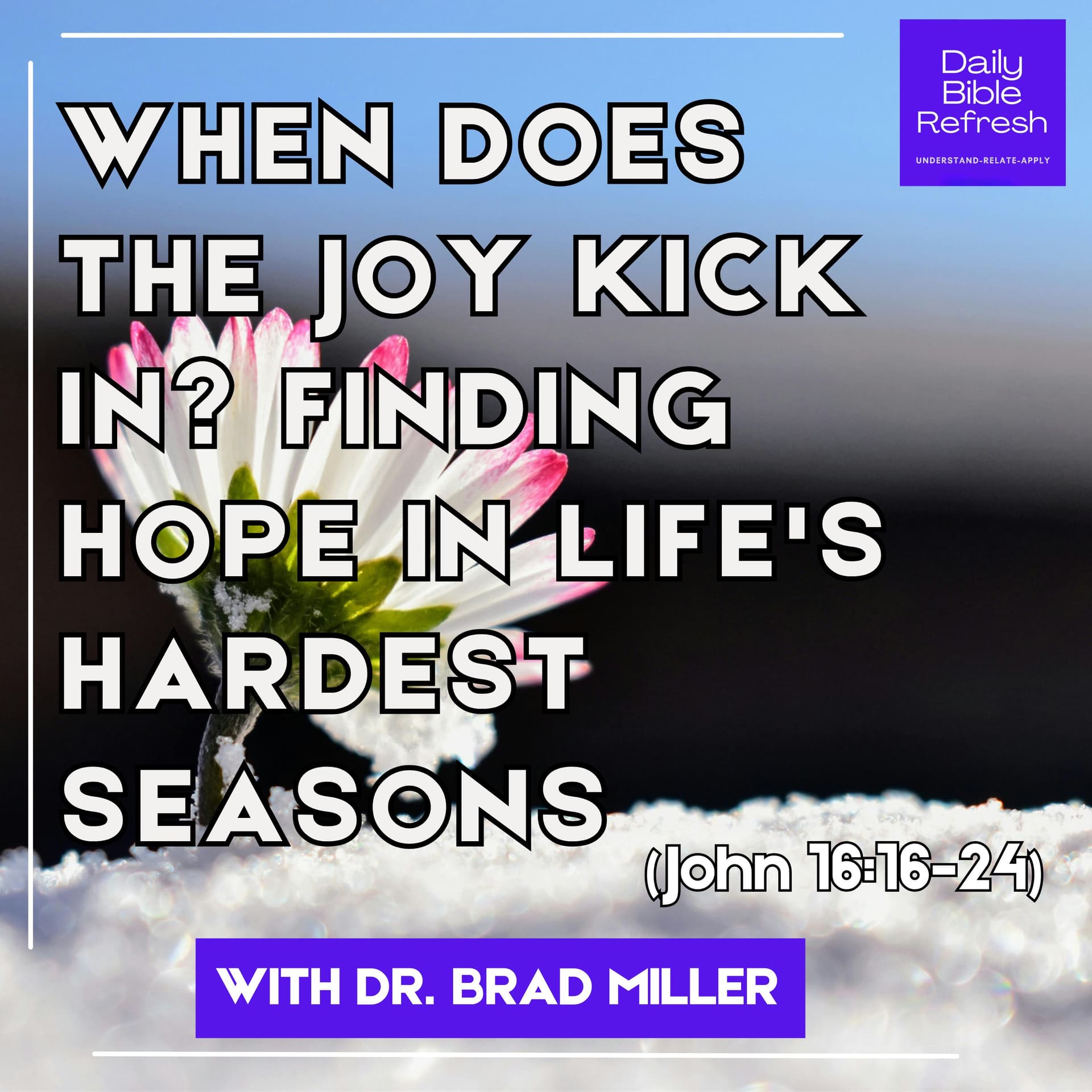 When Does the Joy Kick In? Finding Hope in Life's Hardest Seasons (John 16:16-24) — Daily Bible Refresh cover