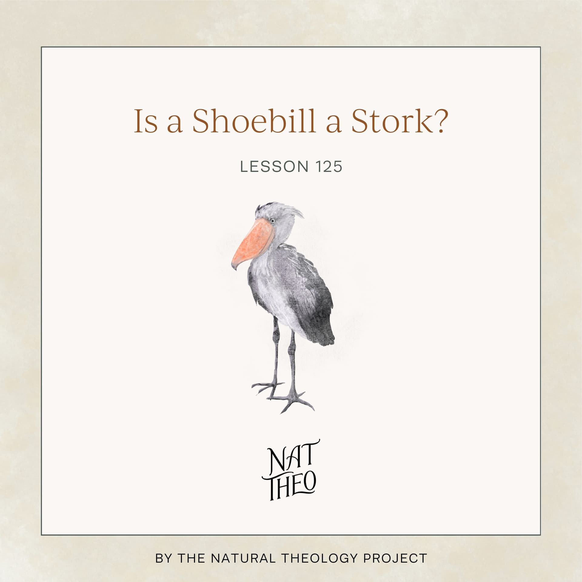 Is a Shoebill a Stork? Lesson 125 - Nat Theo Nature Lessons Rooted in the Bible cover