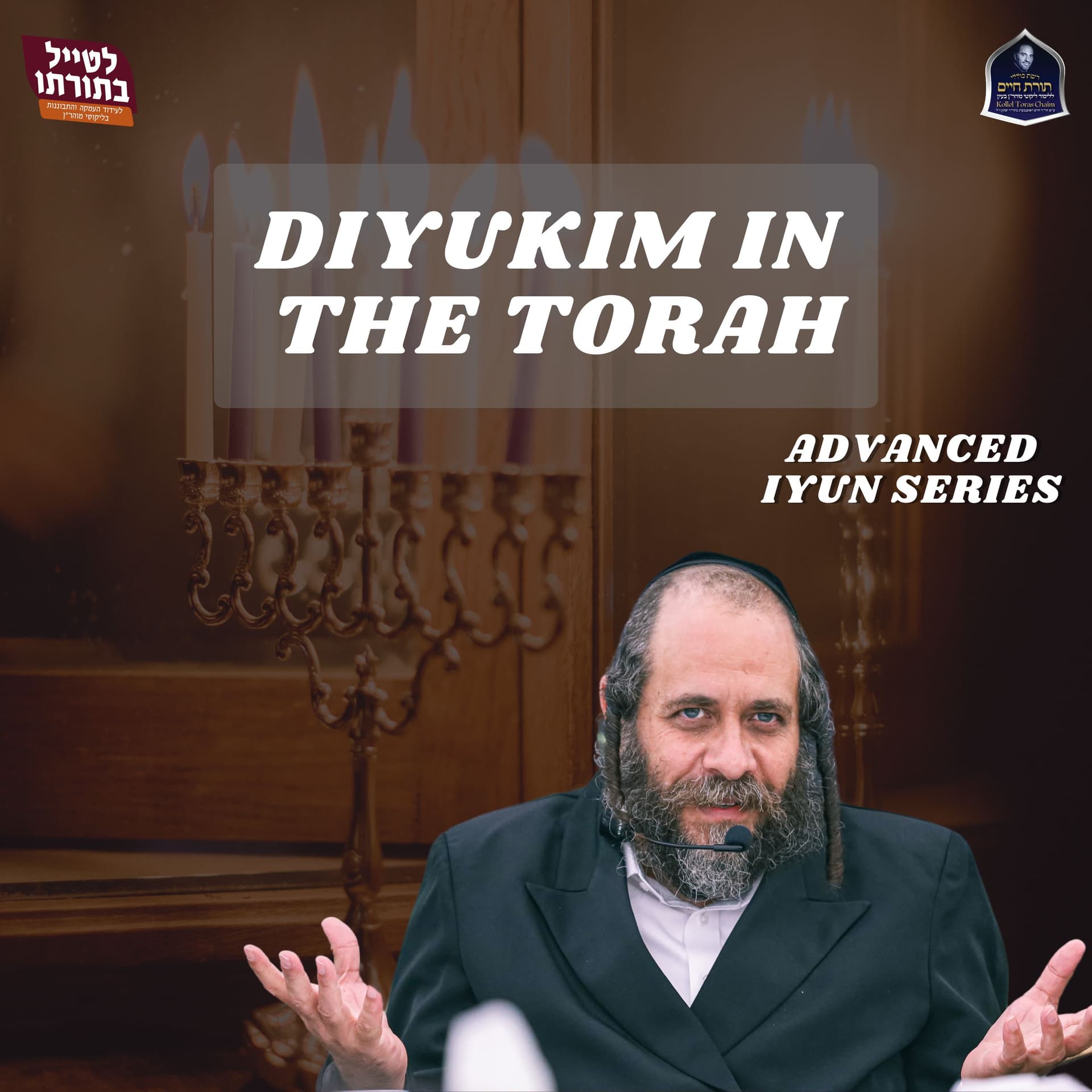 Advanced Iyun Series - Diyukim in the Torah - R' Mordechai Gottlieb Likutei Moharan cover