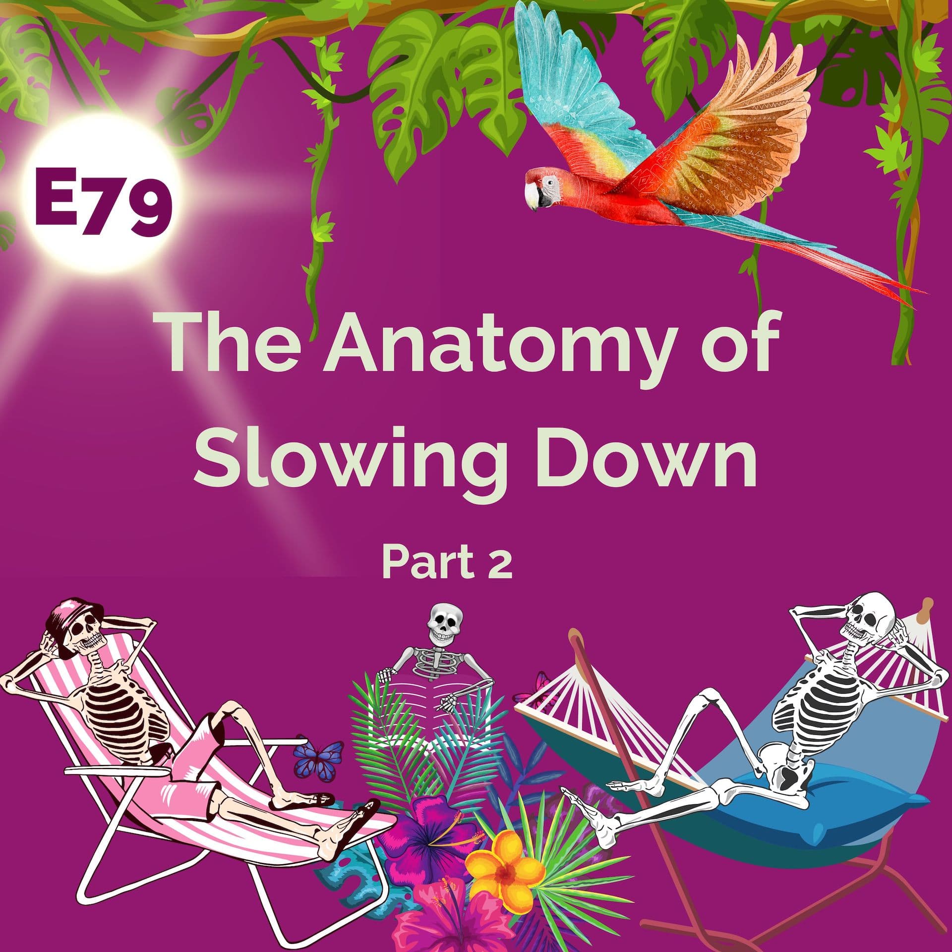 The Anatomy of Slowing Down — Anecdotal Anatomy cover
