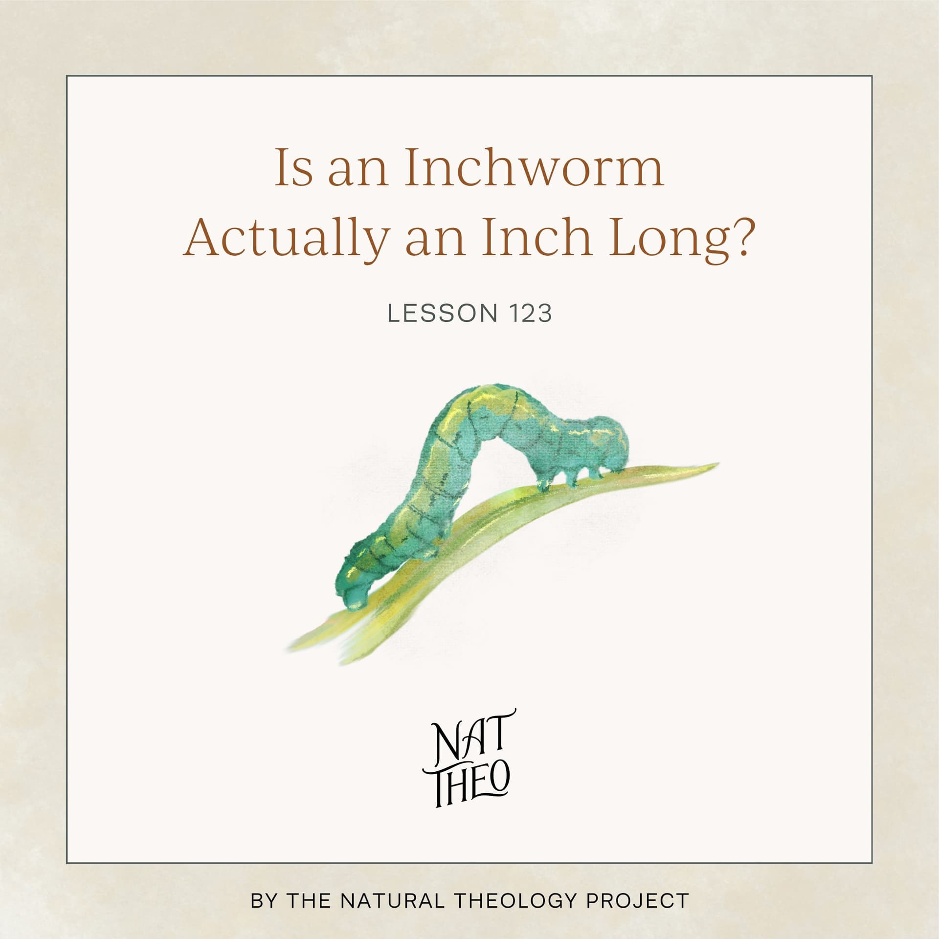 Is an Inchworm Actually an Inch Long? Lesson 123 — Nat Theo Nature Lessons Rooted in the Bible cover