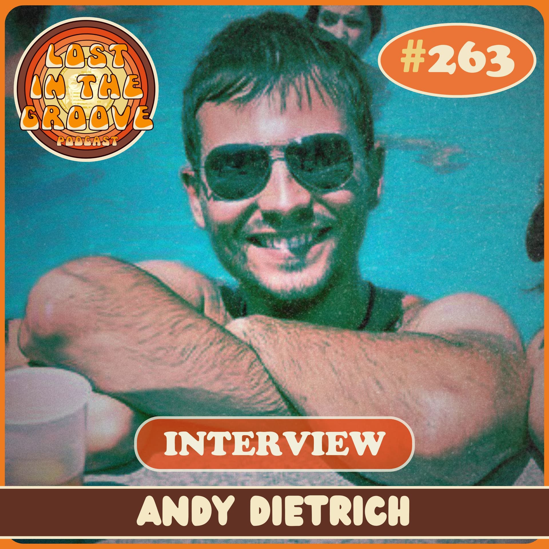 #263 - Interview with author Andy Dietrich - Lost in the Groove cover