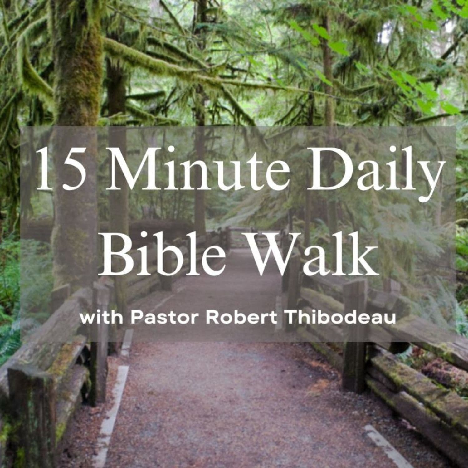 15 Minute Daily Bible Walk cover
