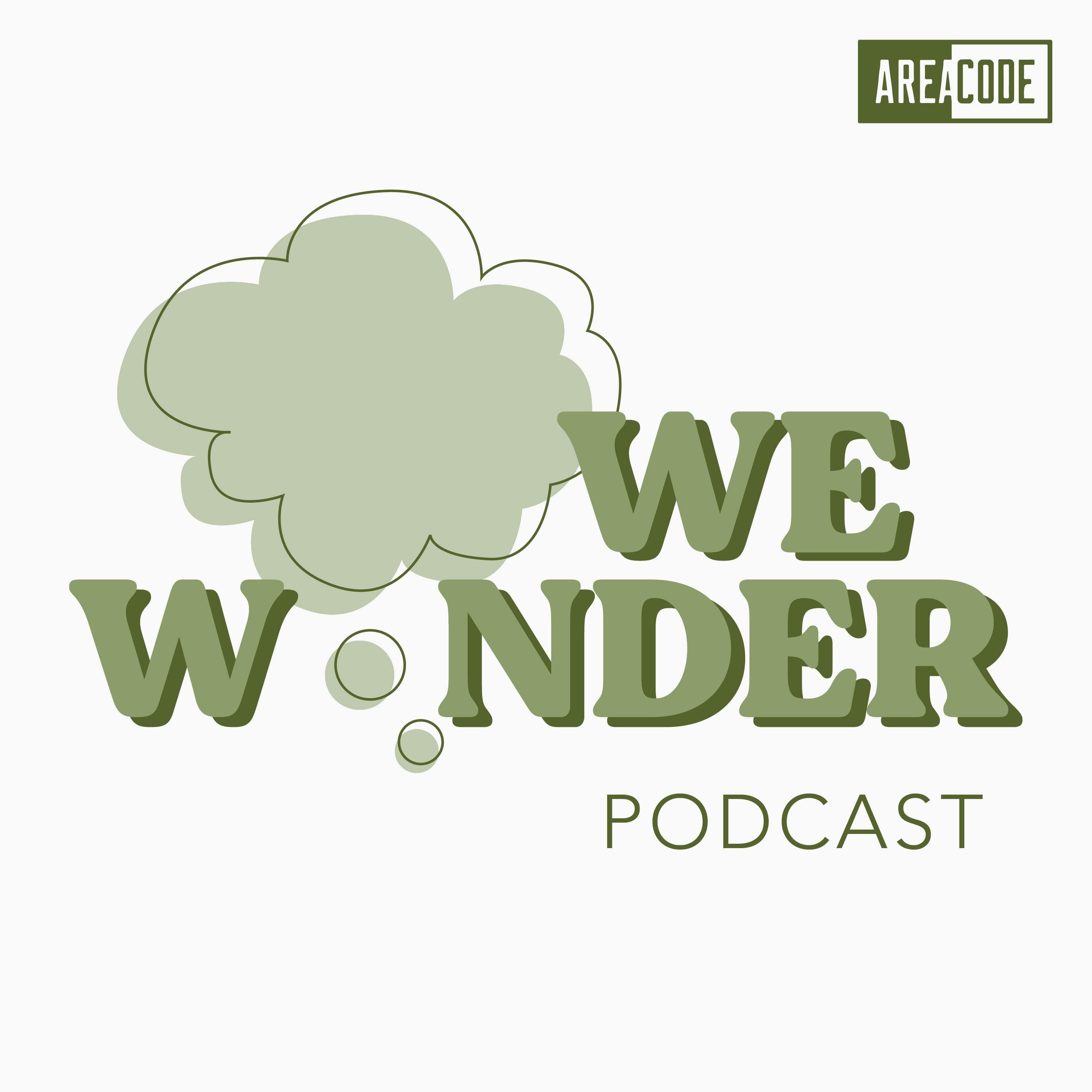We Wonder cover