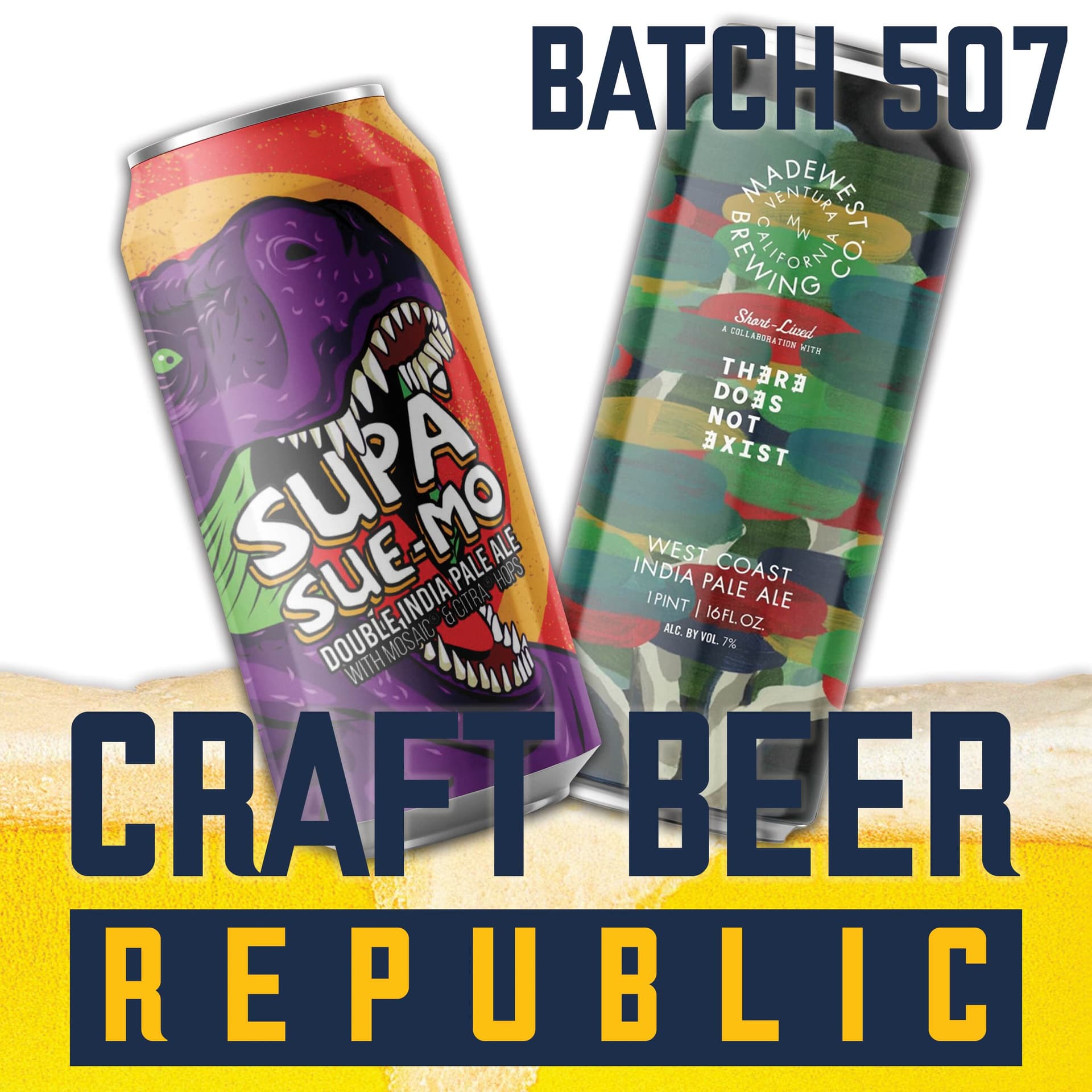 Beer Snob Allegations - Craft Beer Republic cover