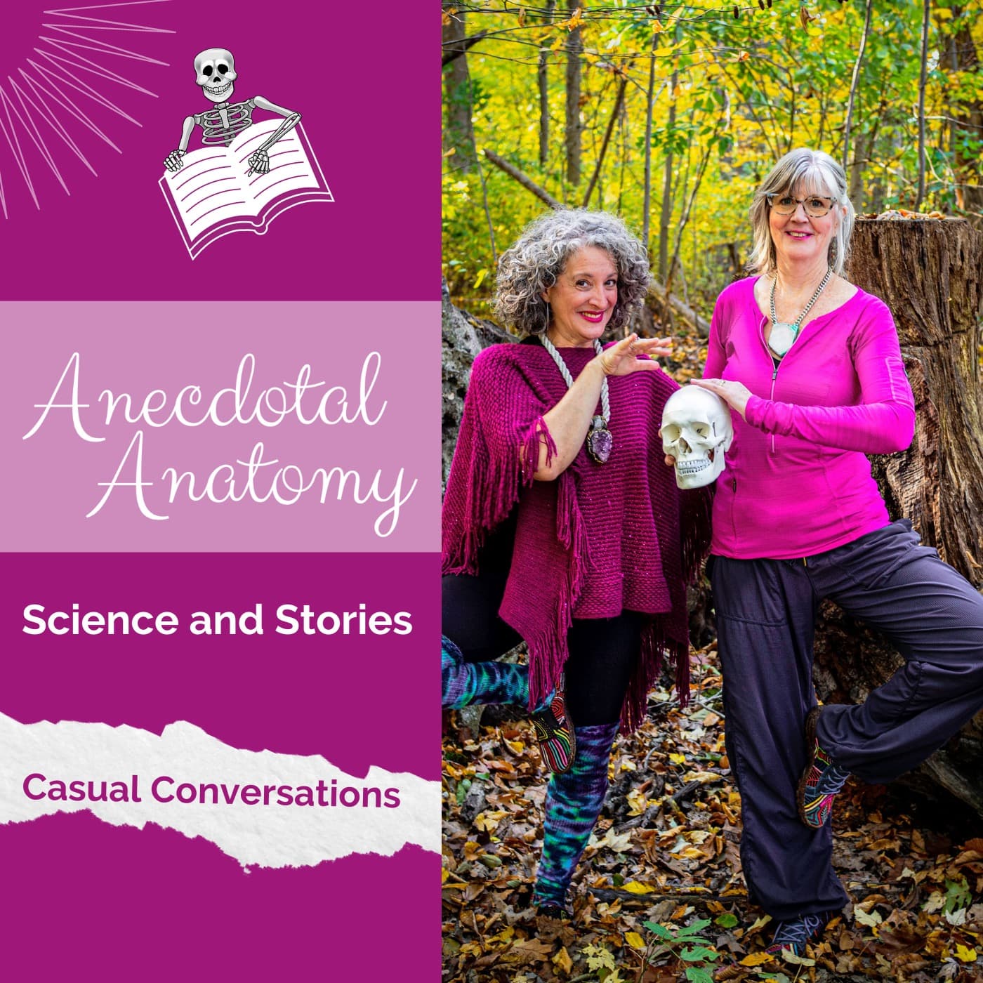 Anecdotal Anatomy cover