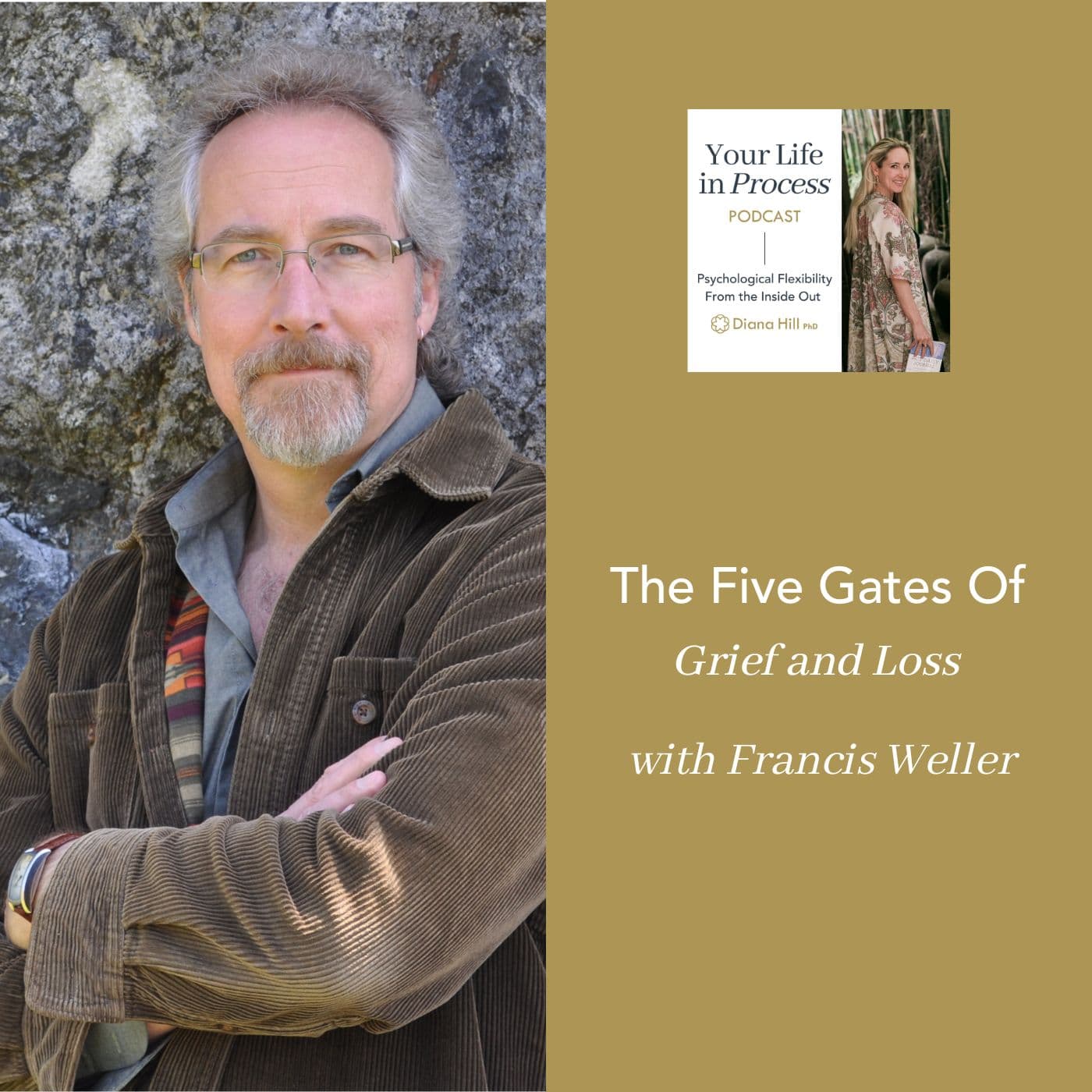 The Five Gates Of Grief With Francis Weller - The Wise Effort Show cover