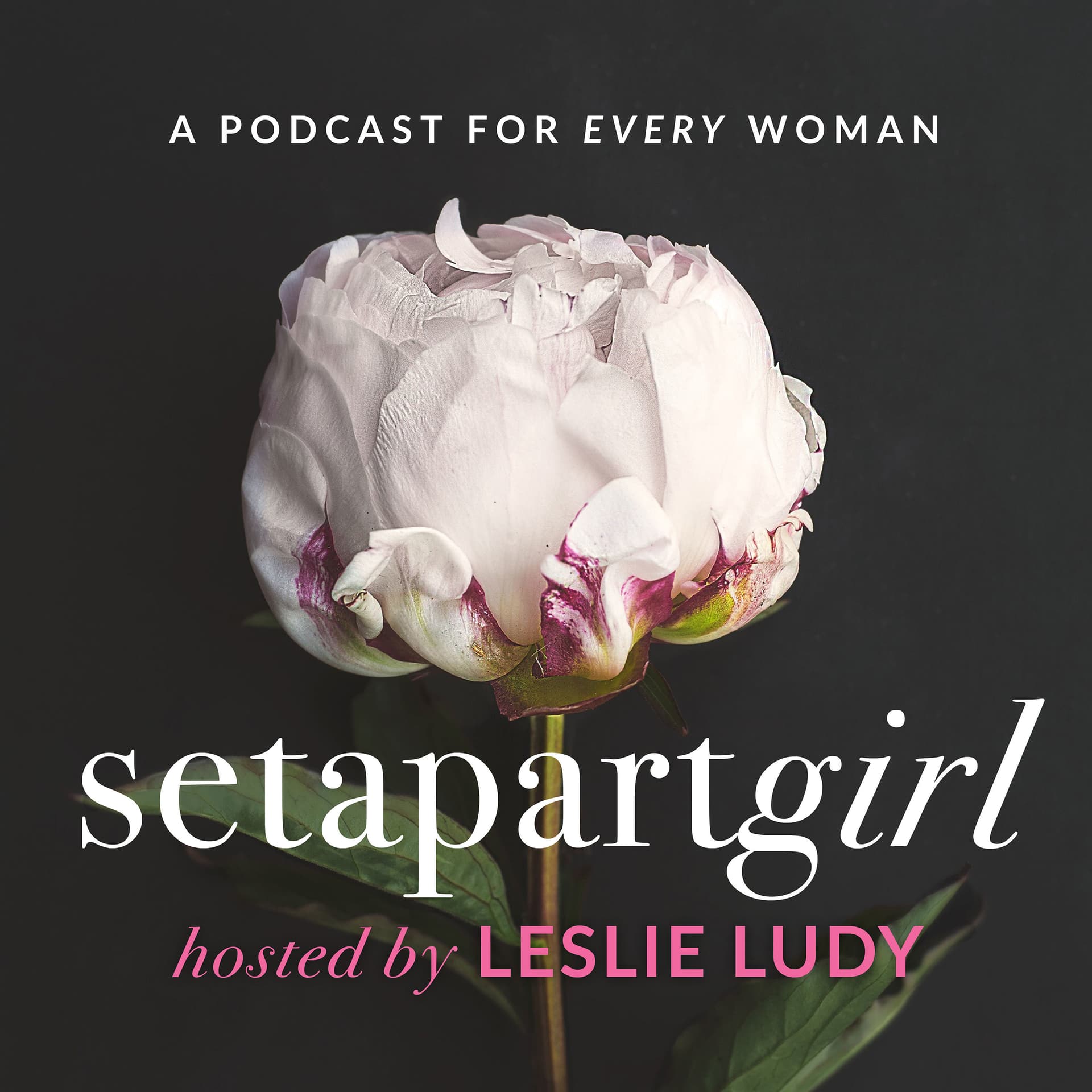 Discipling Others – How to Begin — Set Apart Podcast cover
