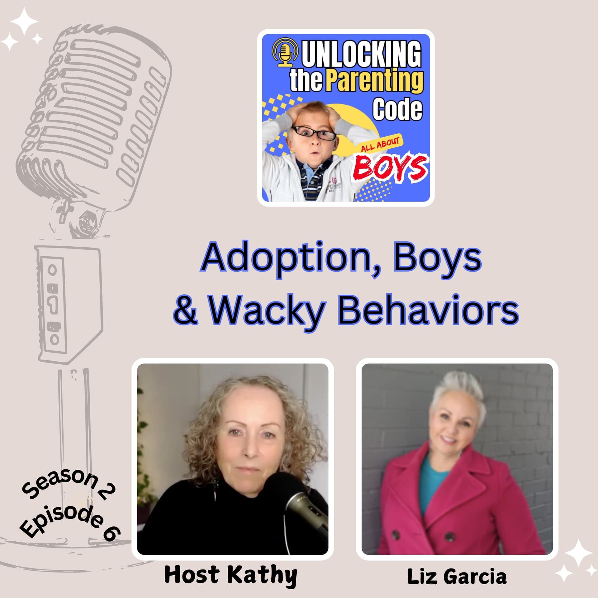 Adoption, Boys & Wacky Behaviors - Unlocking the Parenting Code: All About Boys cover