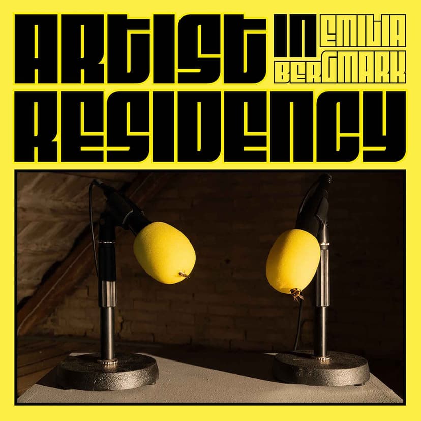 Artist in Residency cover