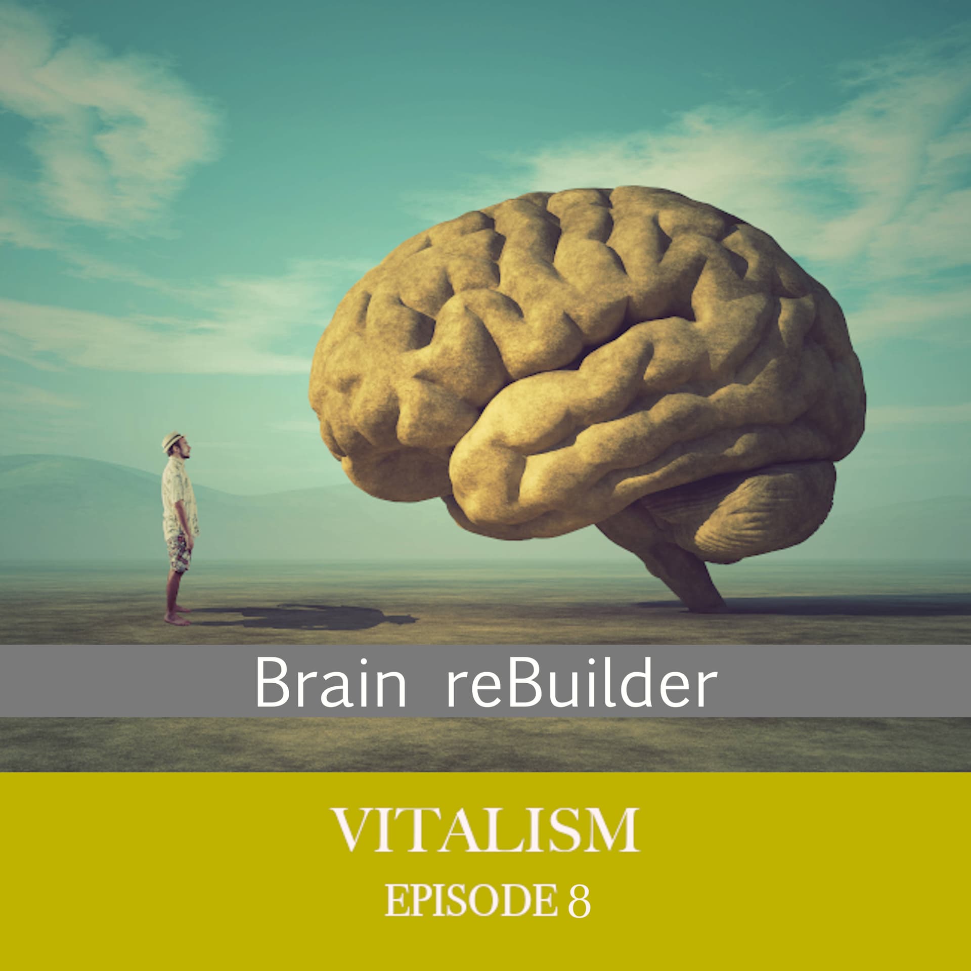 Vitalism - Brain reBuilder cover