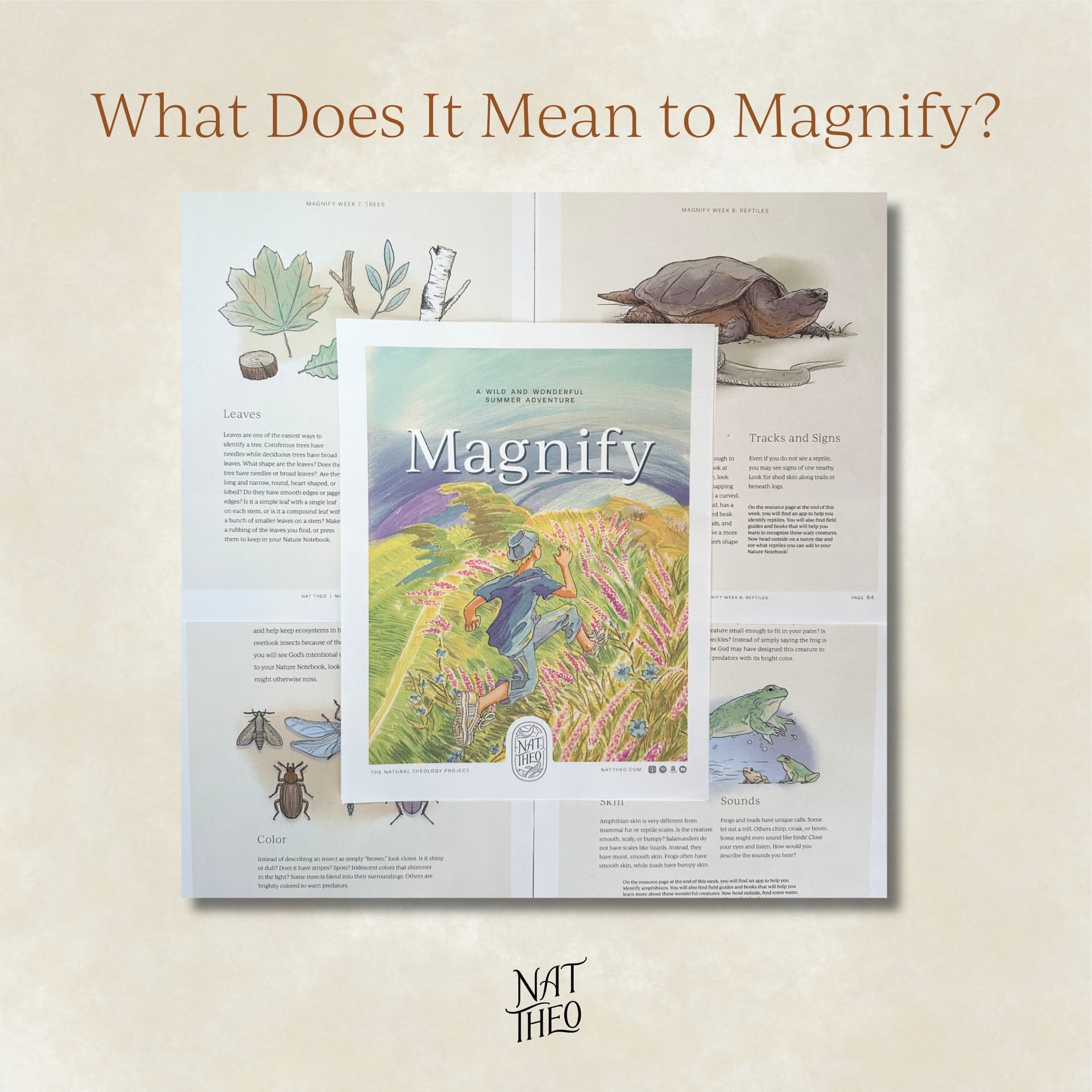What Does It Mean to Magnify? - Nat Theo Nature Lessons Rooted in the Bible cover