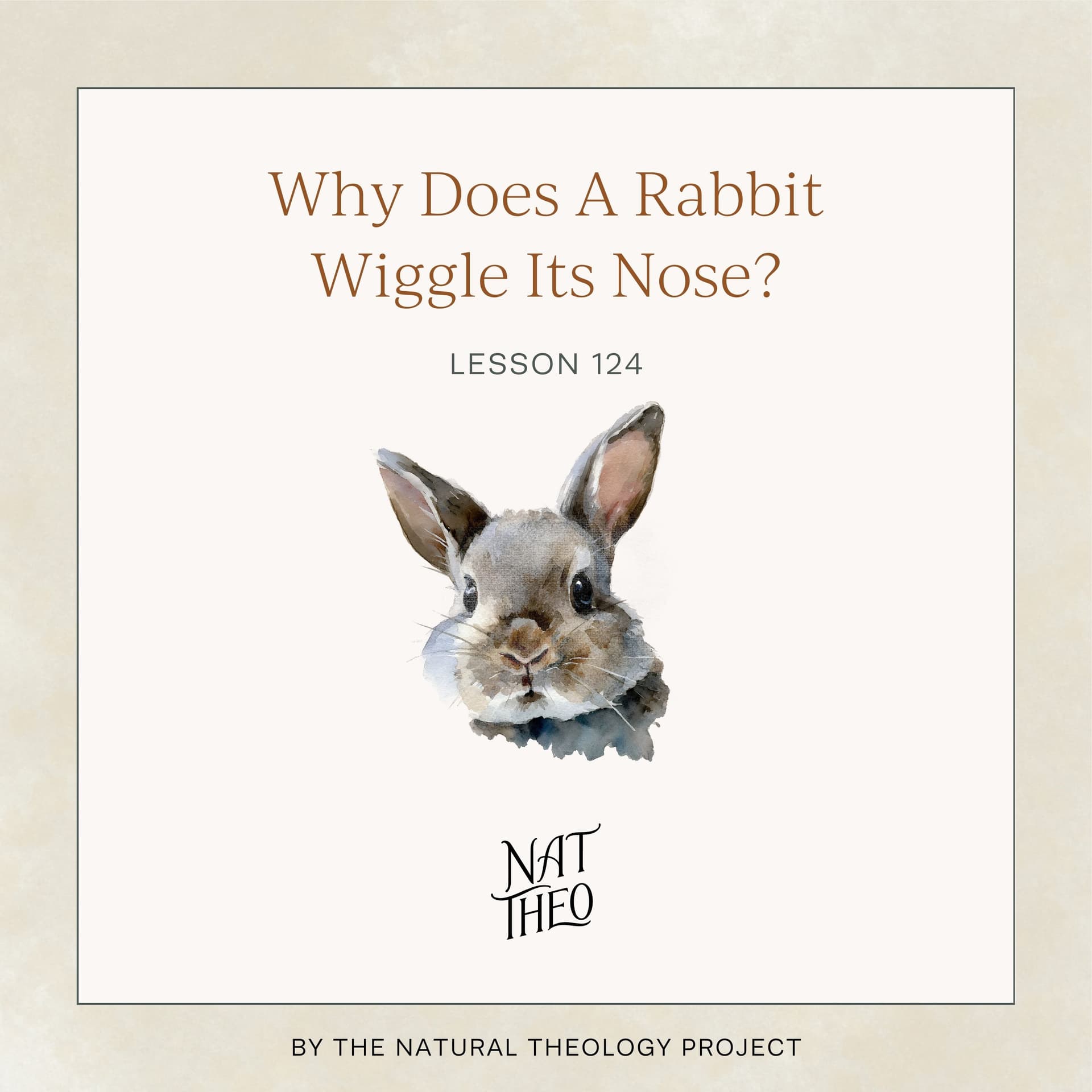 Why Does A Rabbit Wiggle Its Nose? Lesson 124 - Nat Theo Nature Lessons Rooted in the Bible cover