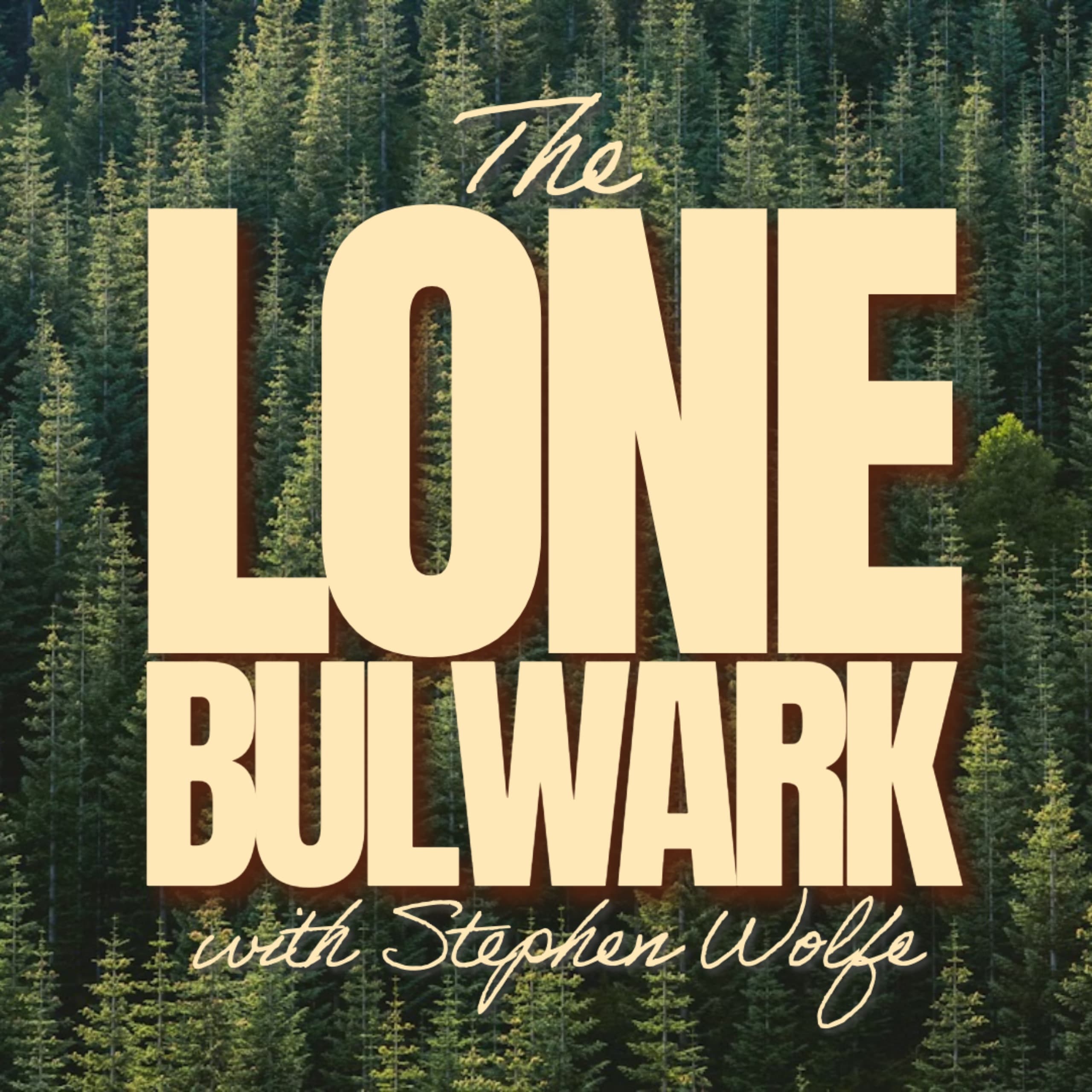 The Lone Bulwark cover