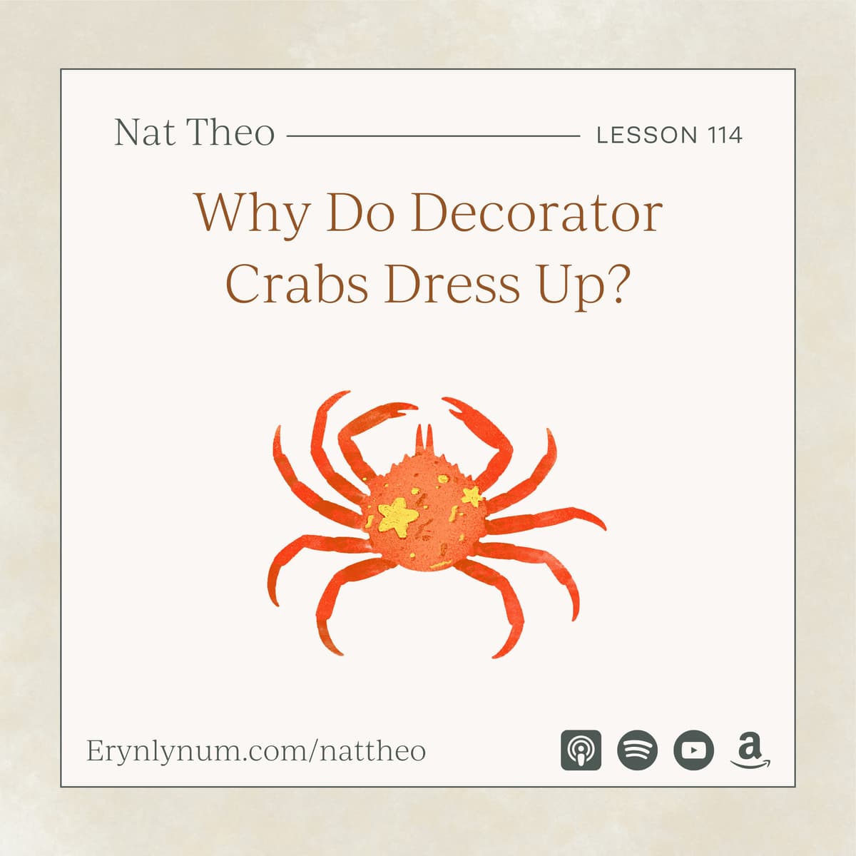 Why Do Decorator Crabs Dress Up? Lesson 114 - Nat Theo Nature Lessons Rooted in the Bible cover