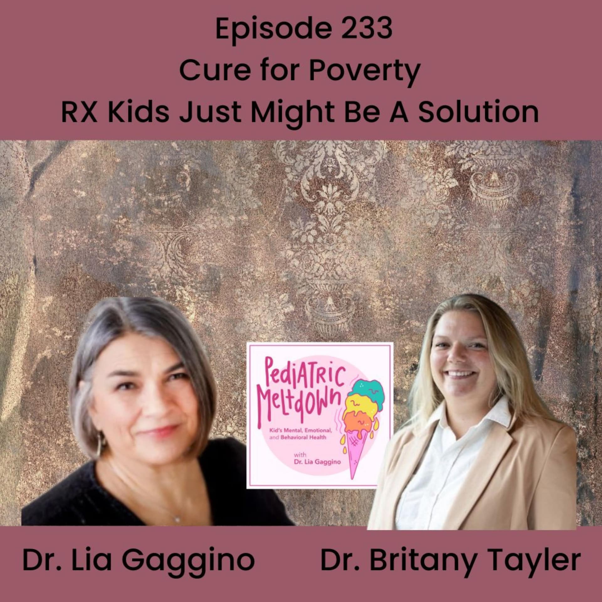 233.  Tackling Child Poverty: The Rx Kids Initiative - Pediatric Meltdown cover