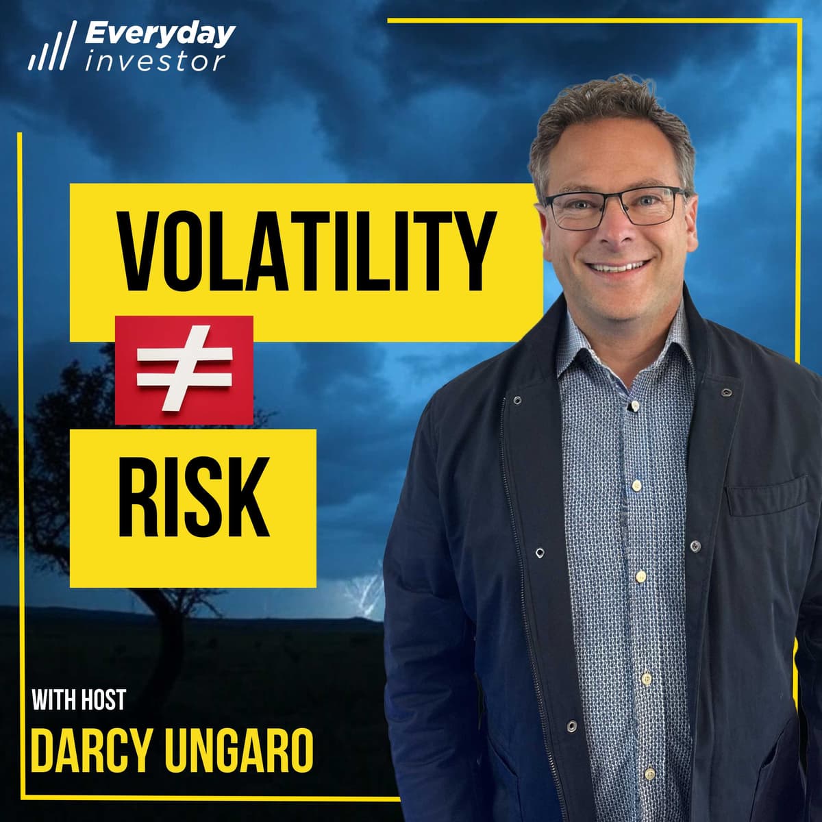 Volatility Is NOT Risk, Ep 458 Darcy Ungaro - NZ Everyday Investor cover
