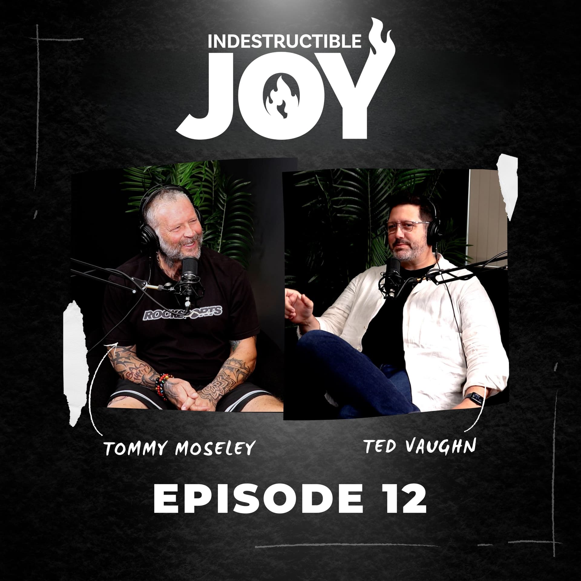 Indestructible Joy 12 |  Reflections on Working at A Christian Mega Church with Ted Vaughn - Indestructible Joy cover