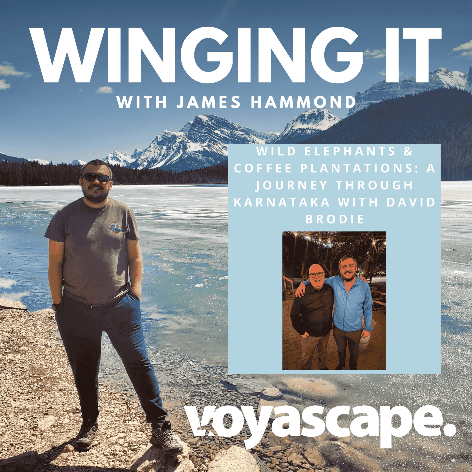 Wild Elephants & Coffee Plantations: A Journey Through Karnataka, India with David Brodie - Winging It Travel Podcast cover