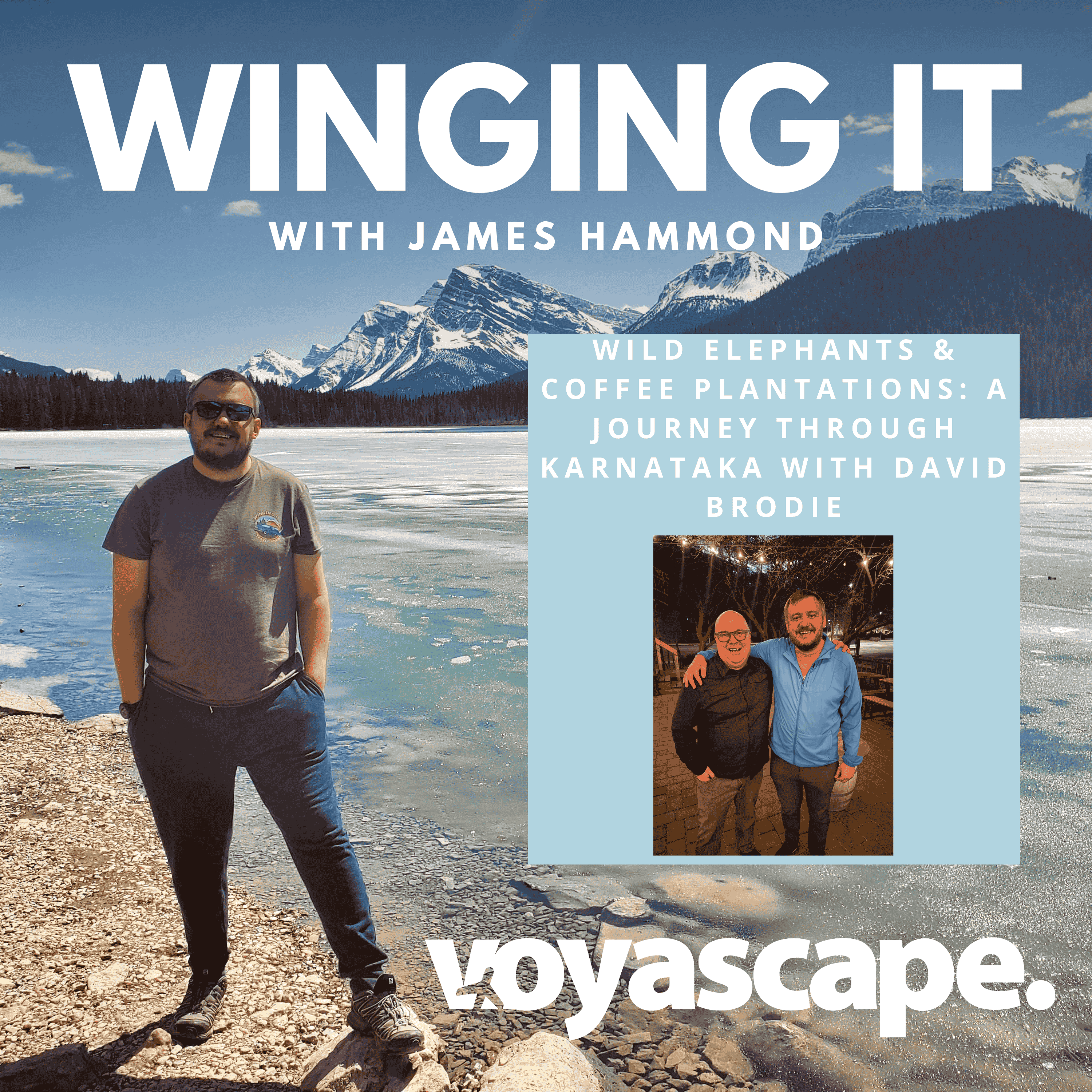 Wild Elephants & Coffee Plantations: A Journey Through Karnataka, India with David Brodie - Winging It Travel Podcast cover