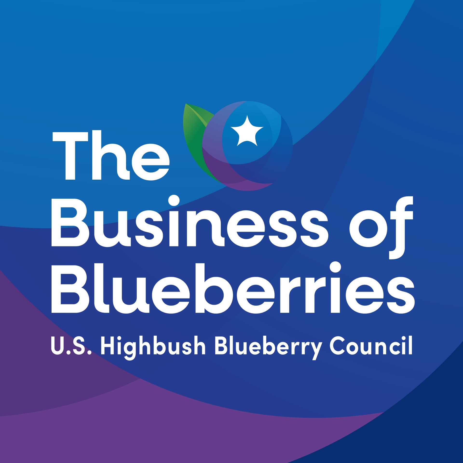 The Business of Blueberries cover