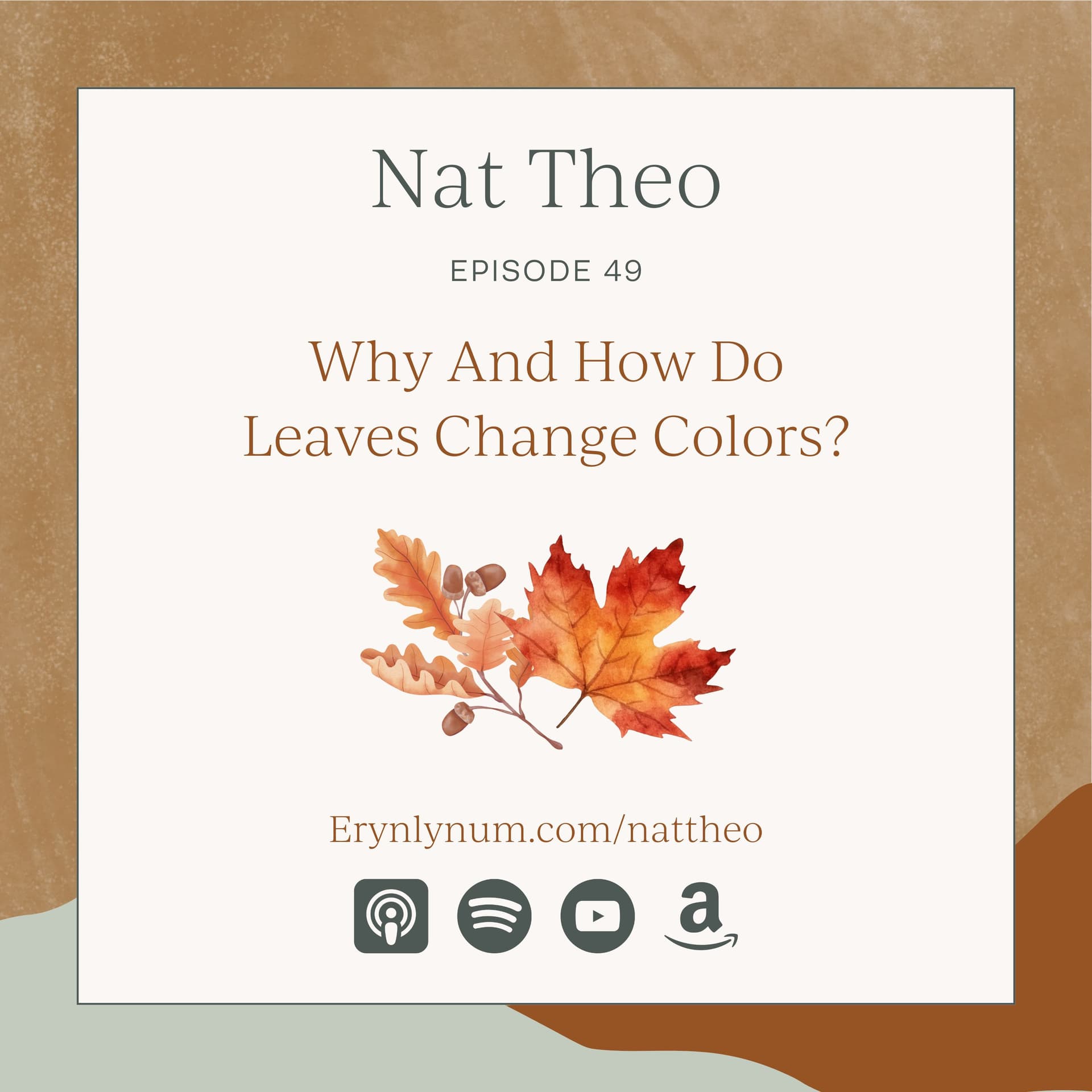 Why And How Do Leaves Change Colors? Episode 49 — Nat Theo Nature Lessons Rooted in the Bible cover