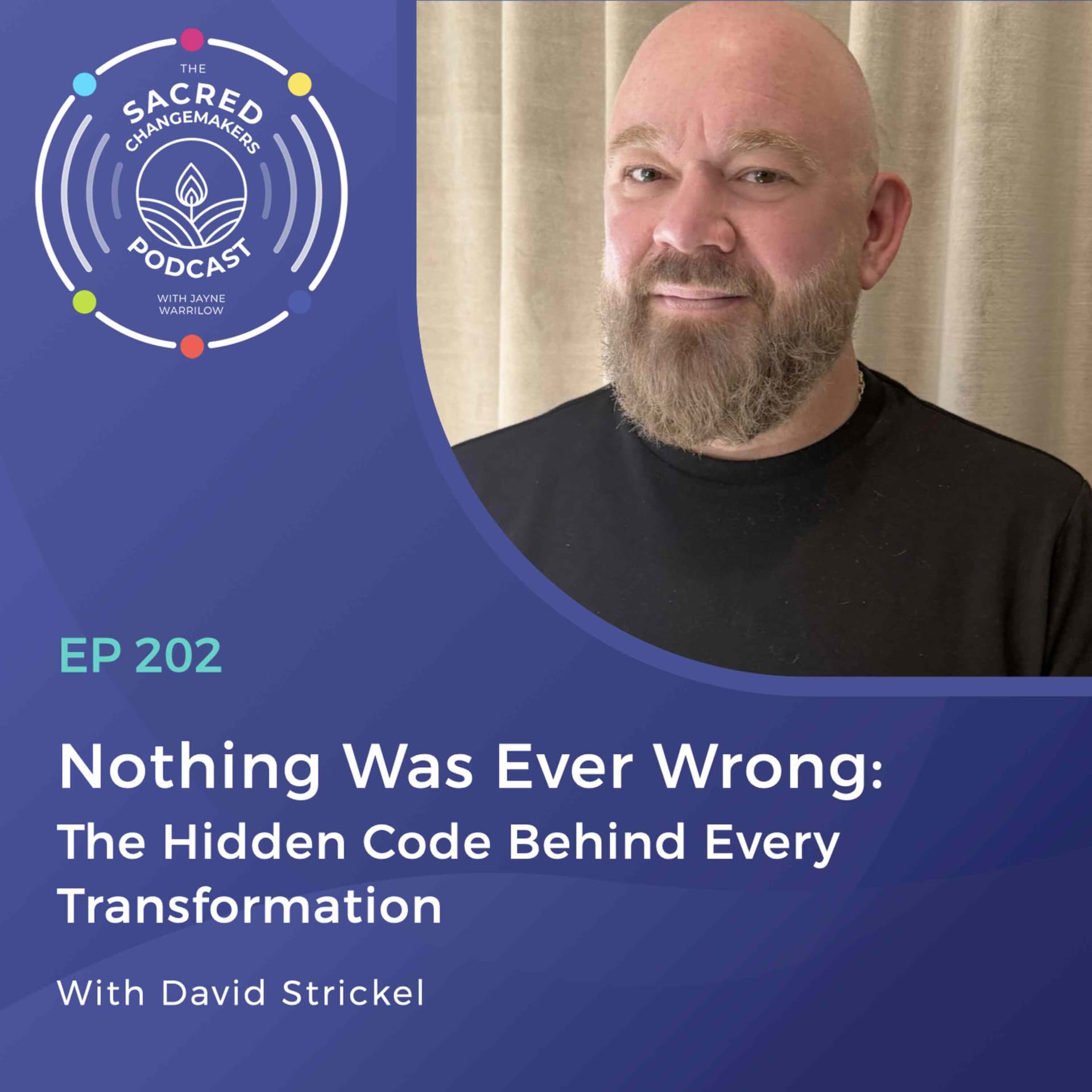 202. Nothing Was Ever Wrong: The Hidden Code Behind Every Transformation with David Strickel — Sacred Changemakers cover