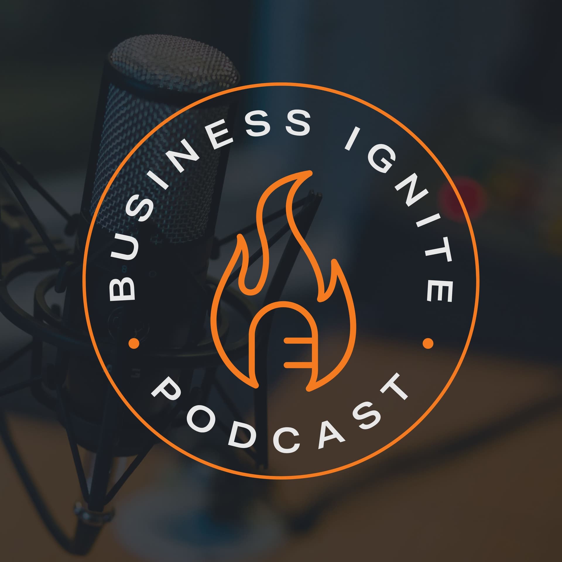Optimizing Your Website: Strategies for Success - Business Ignite Podcast cover