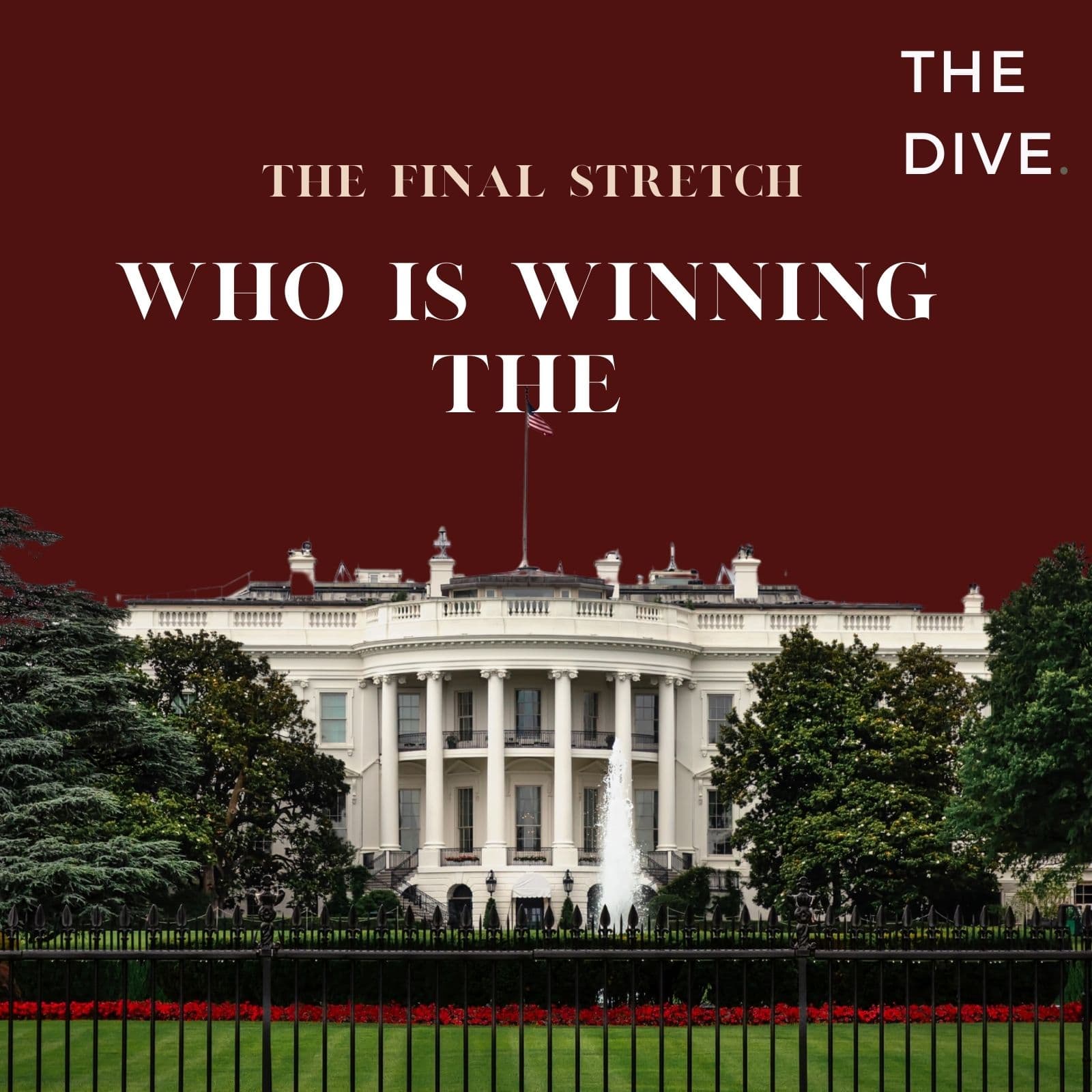 Who Is Winning The White House? - The Dive: Experts from Harvard and Beyond Explain The News cover