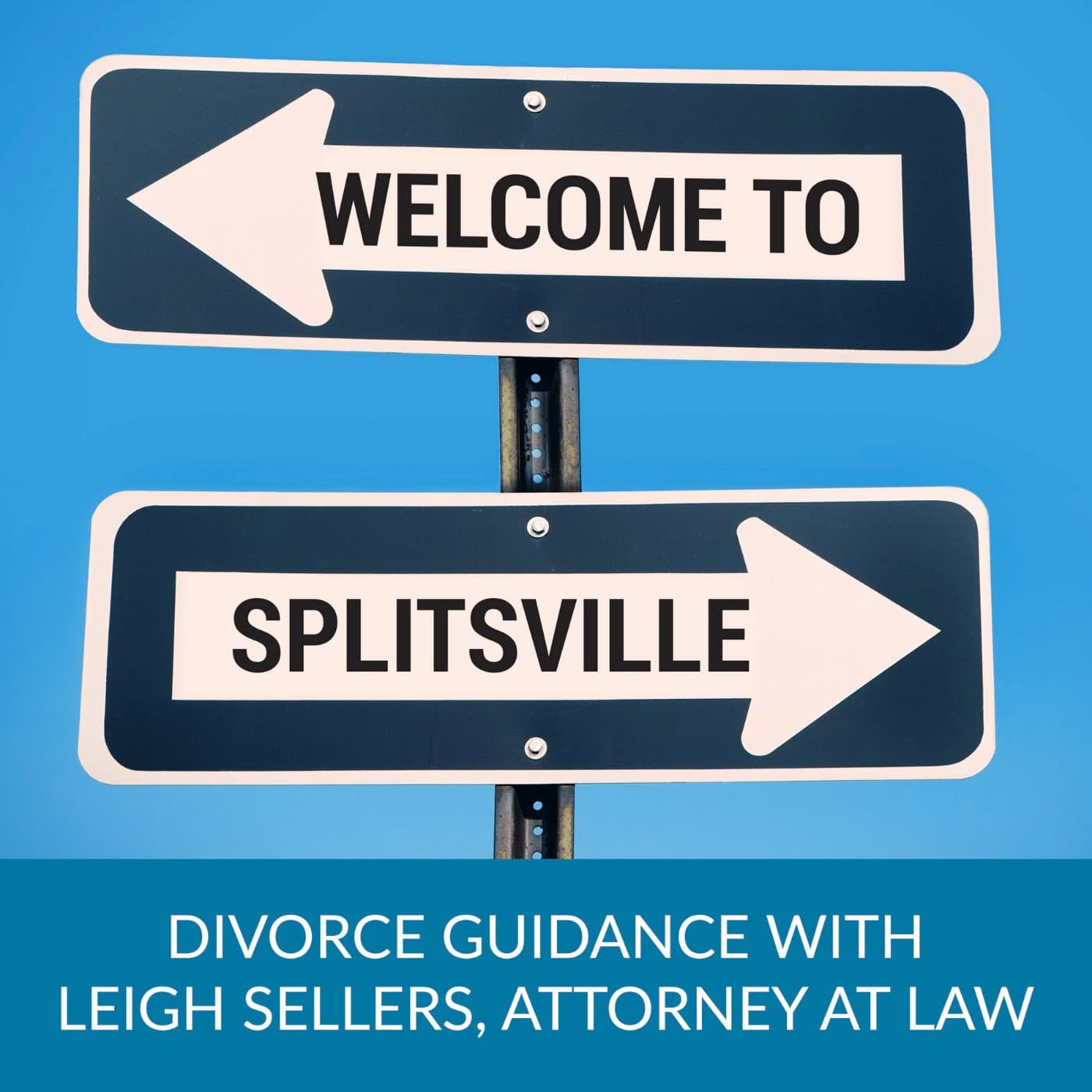 Can I Get My Child Support Changed Due to COVID-19? - Welcome to Splitsville | Navigating Divorce in a Modern World cover